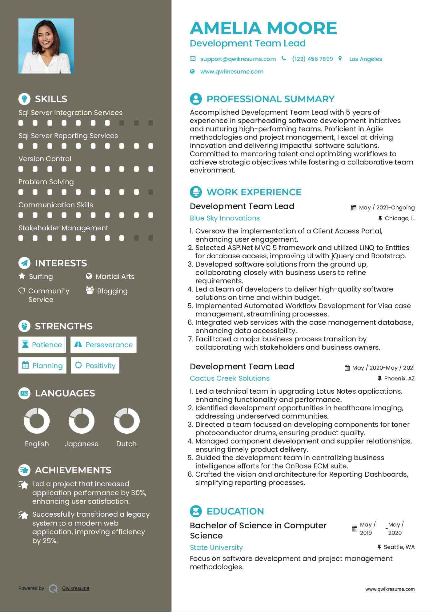 Development Team Lead Resume Template