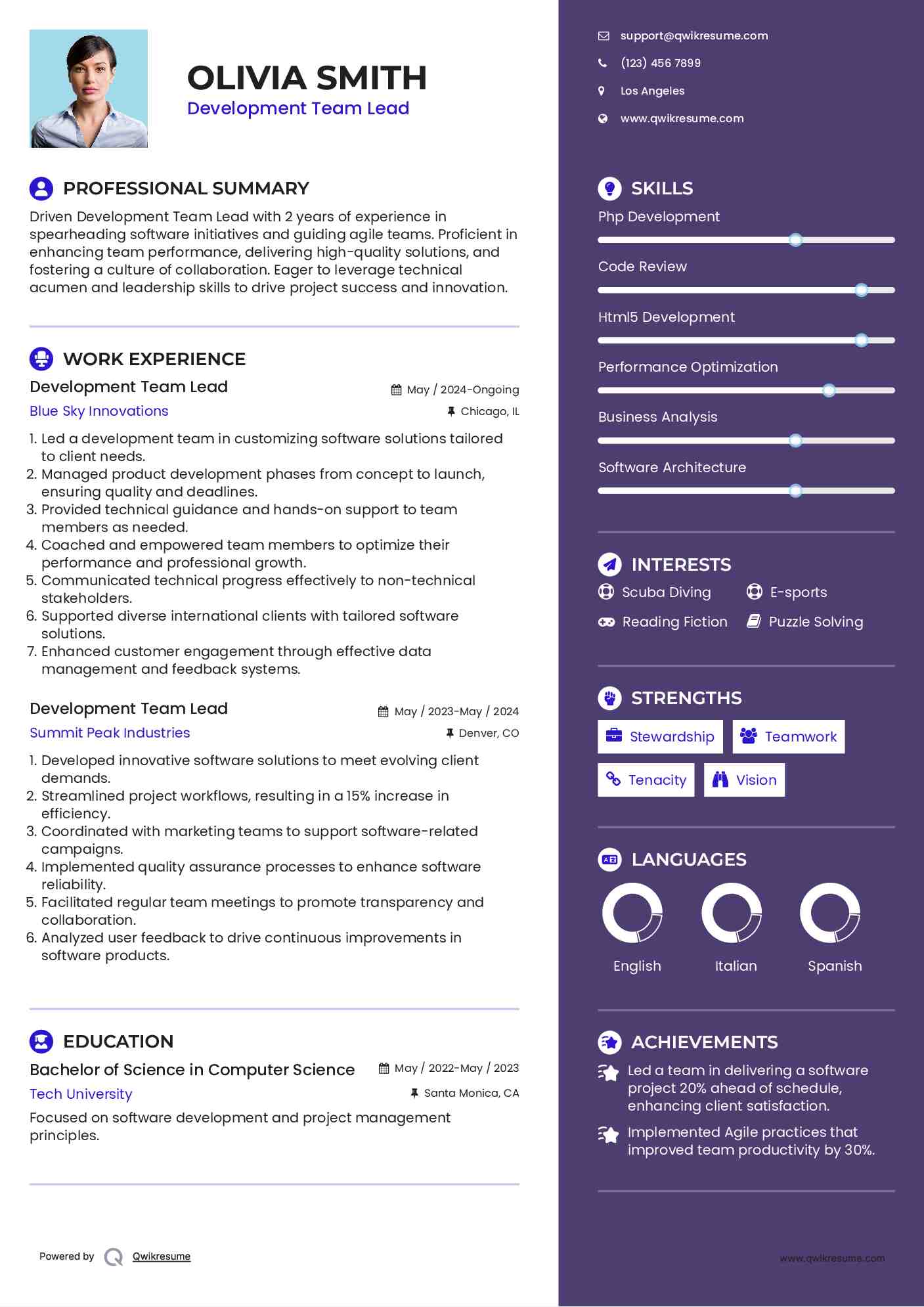 Development Team Lead Resume Template