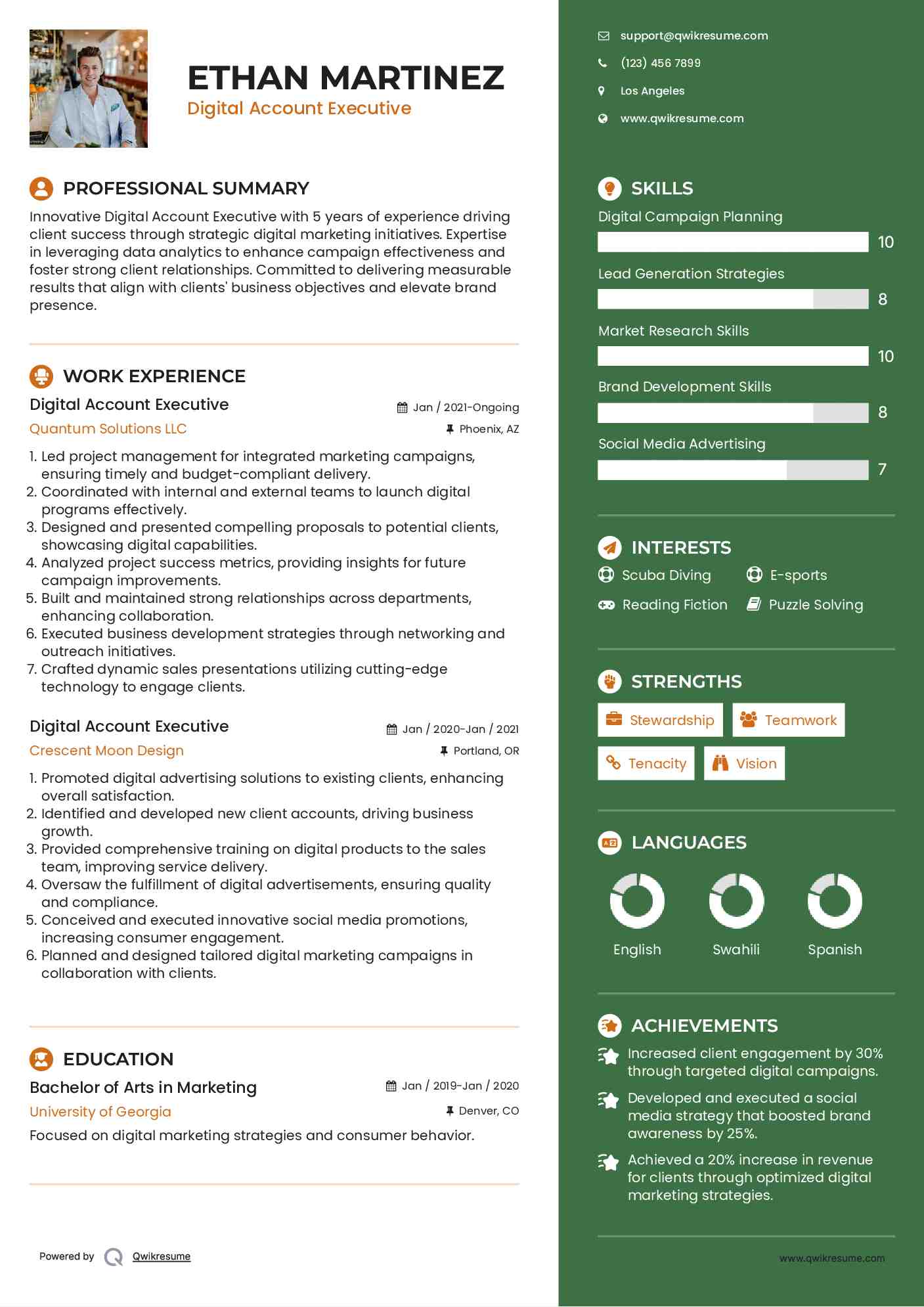 Digital Account Executive Resume Template