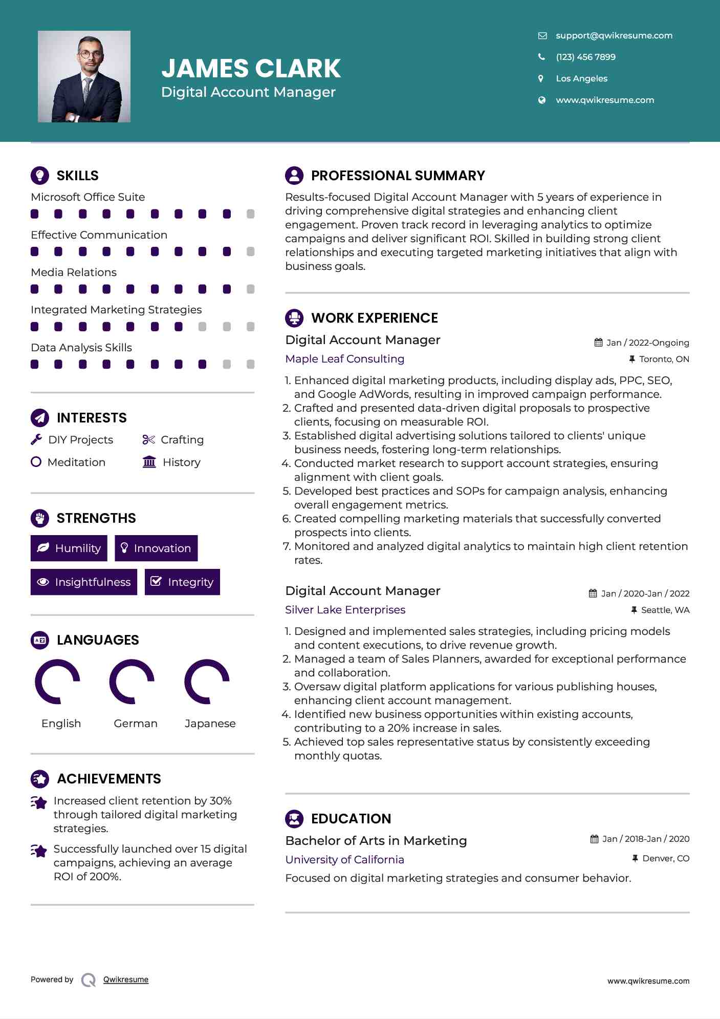 Digital Account Manager Resume Model