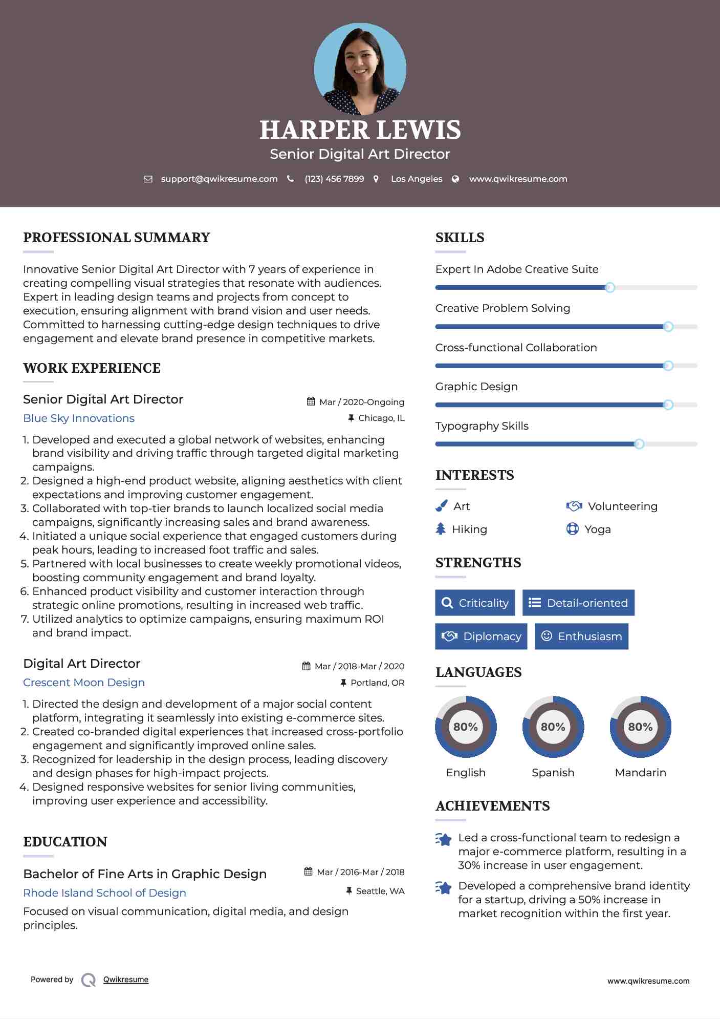 Senior Digital Art Director Resume Format