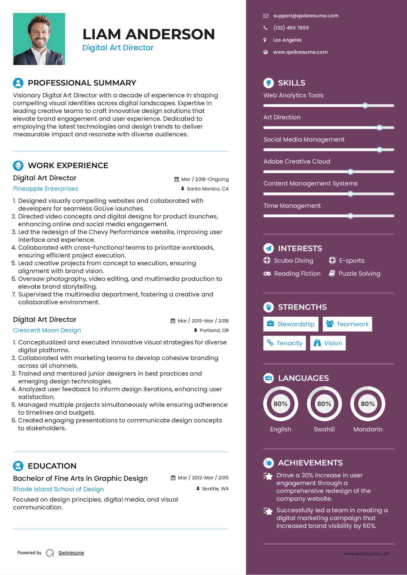 Digital Art Director Resume Model