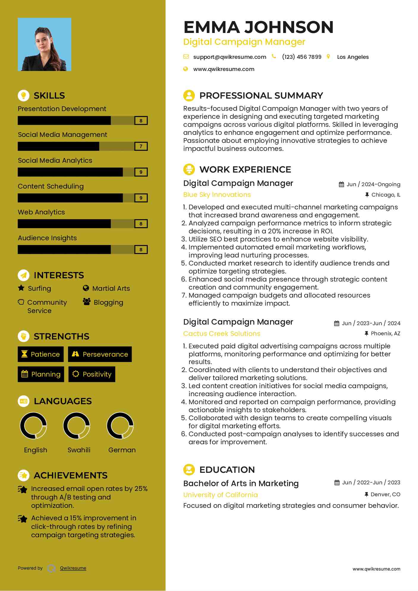 Digital Campaign Manager Resume Example