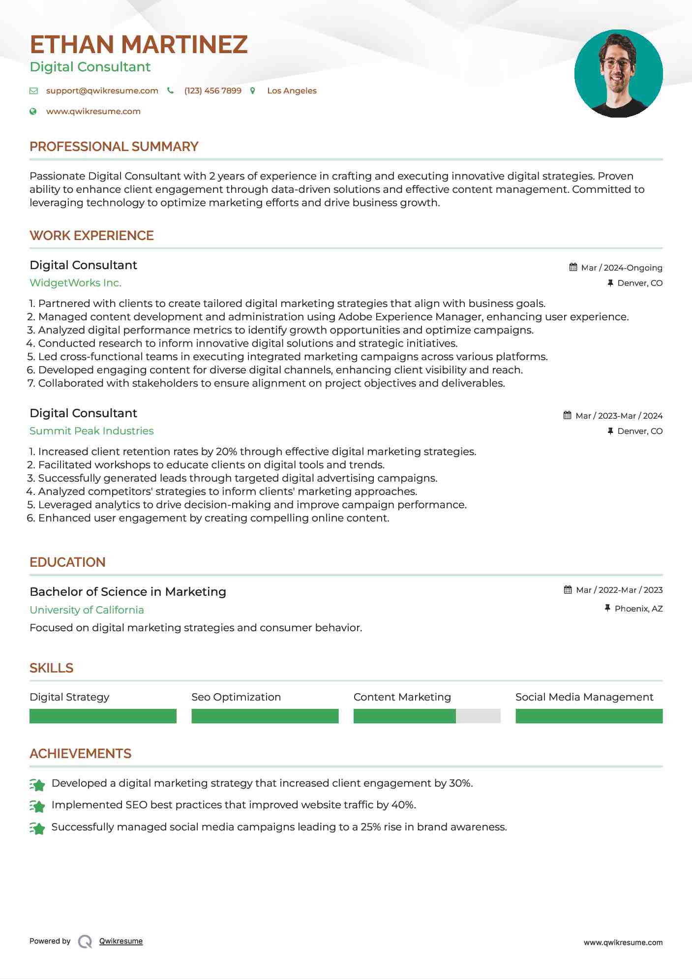 Digital Consultant Resume Example