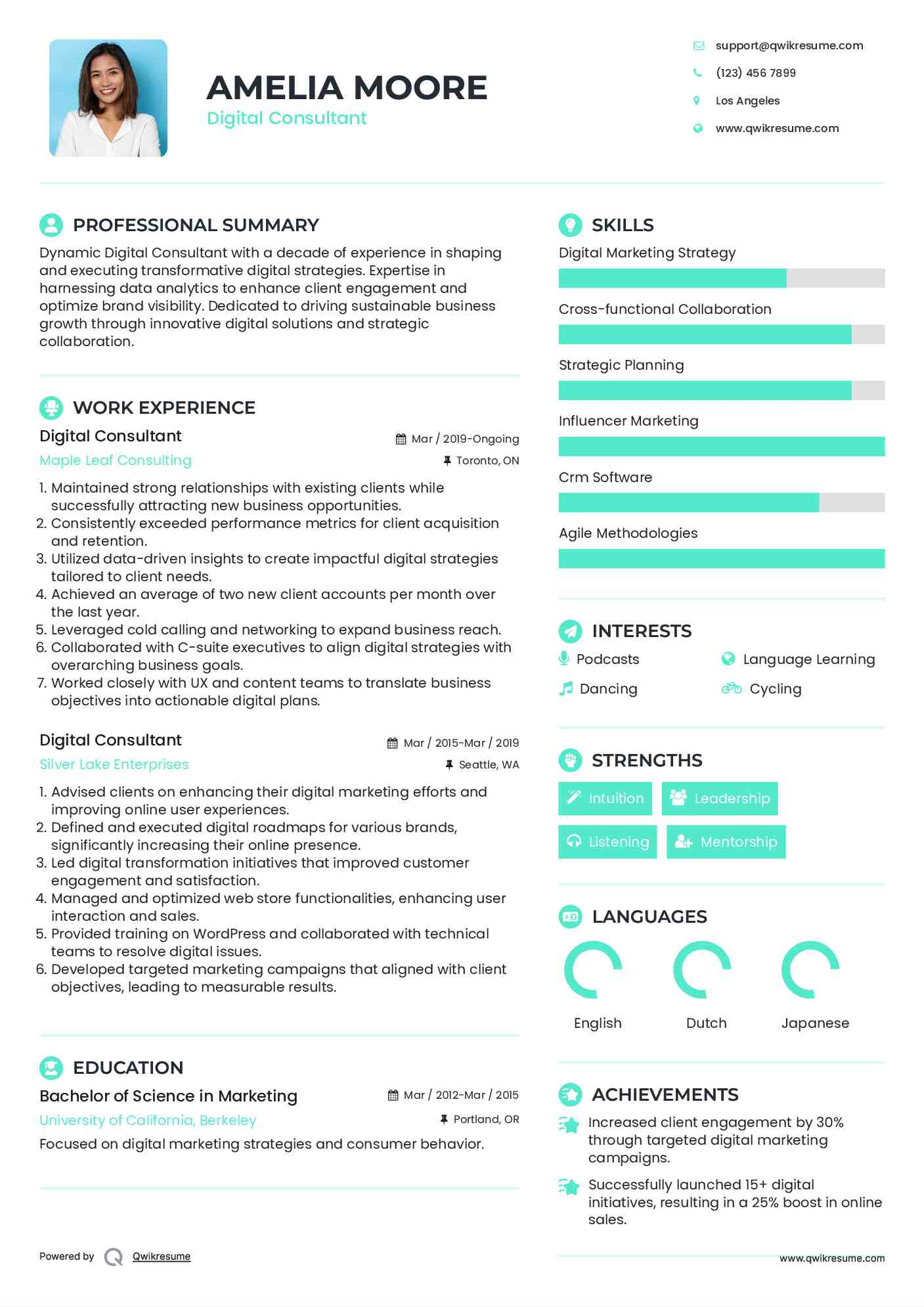 Digital Consultant Resume Example