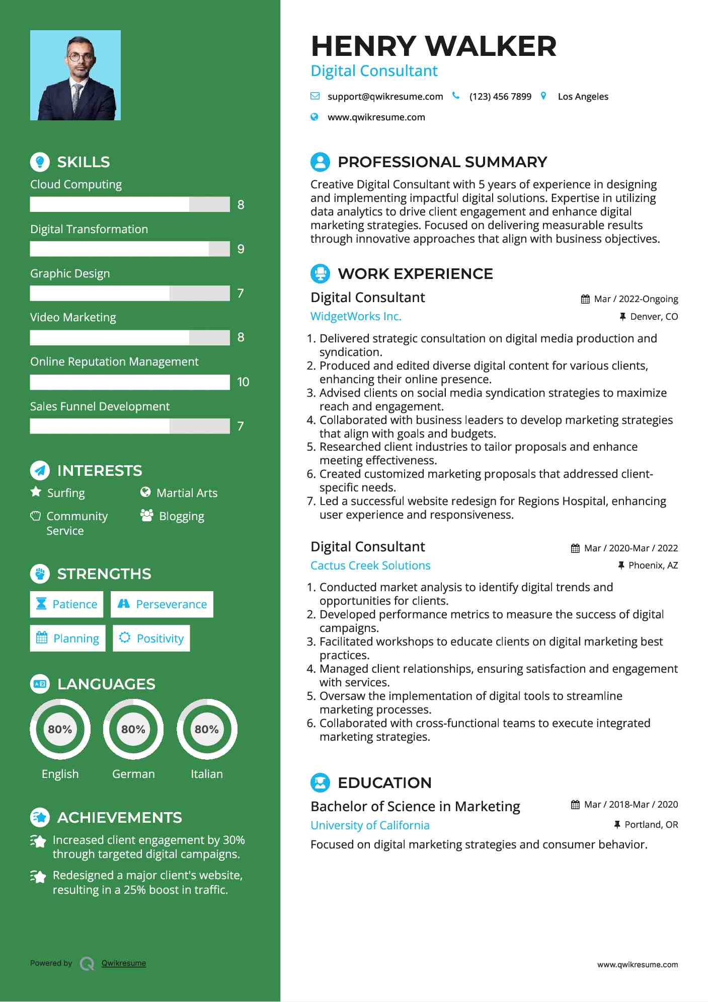 Digital Consultant Resume Model