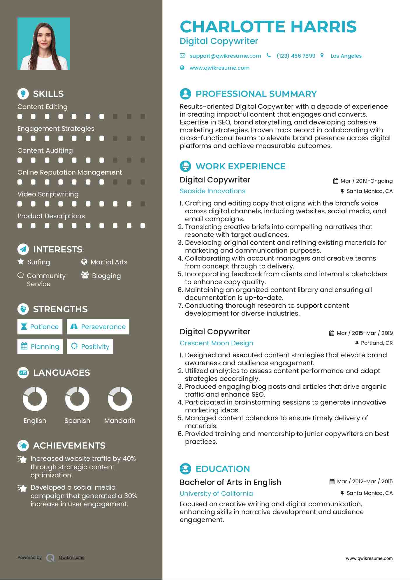 Digital Copywriter Resume Example