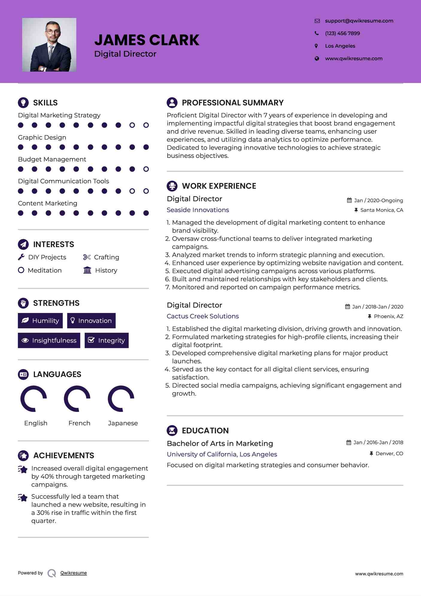 Digital Director Resume Model