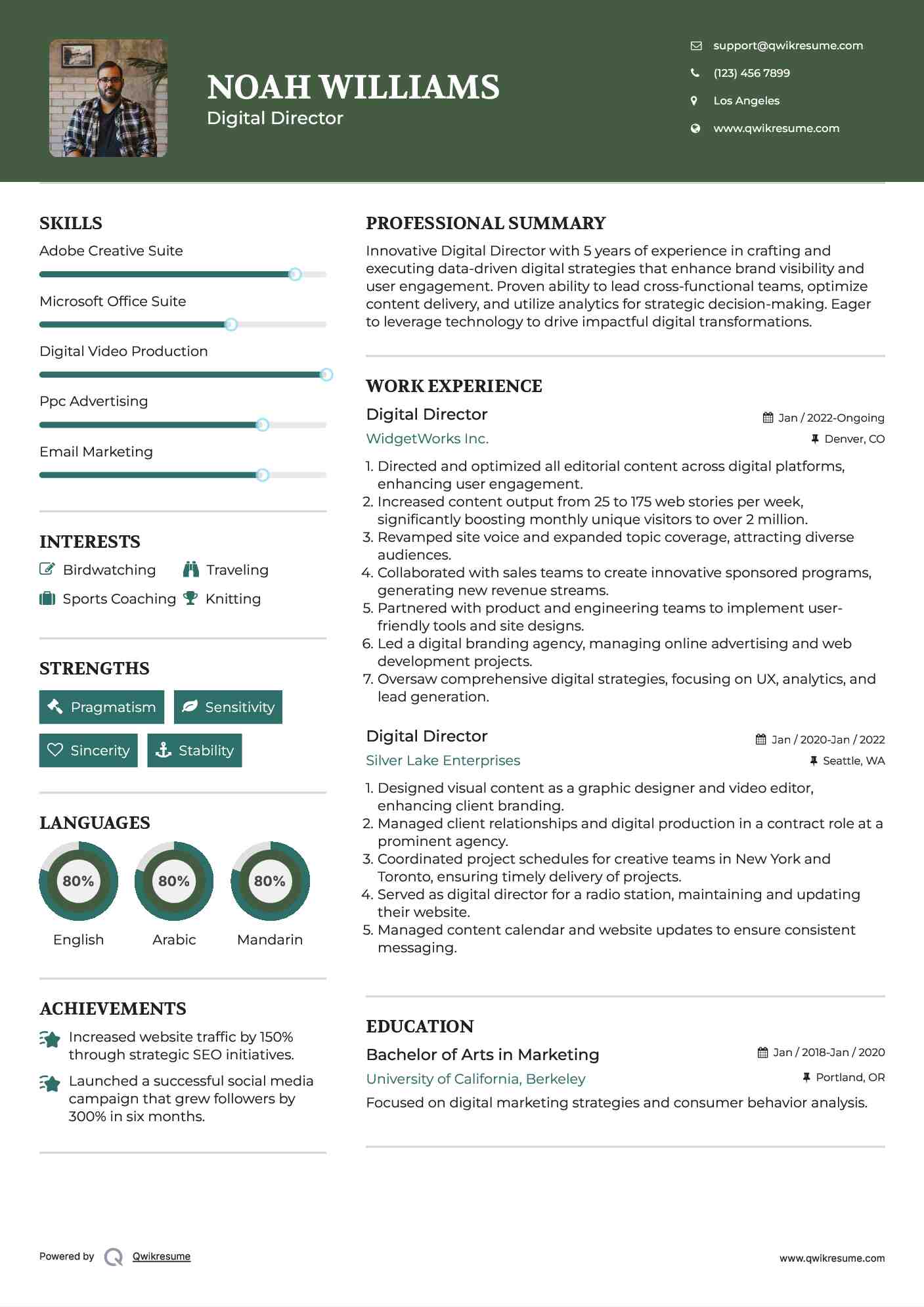 Digital Director Resume Example