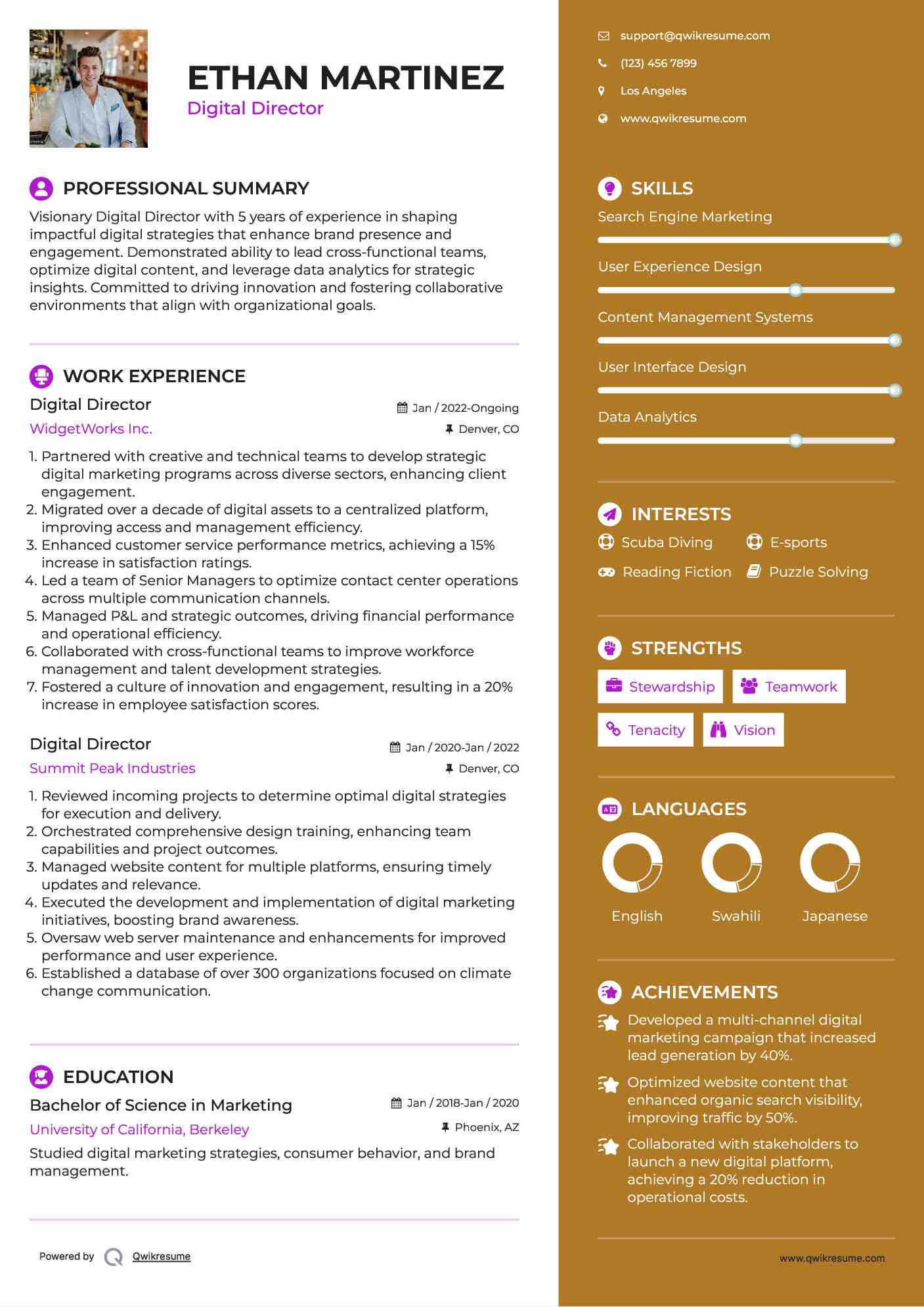 Digital Director Resume Format