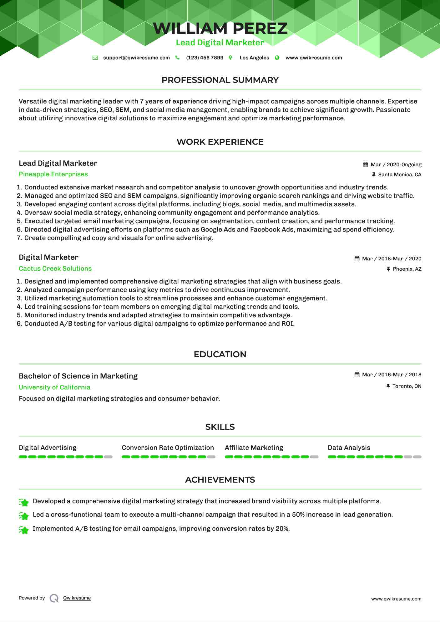 Lead Digital Marketer Resume Example