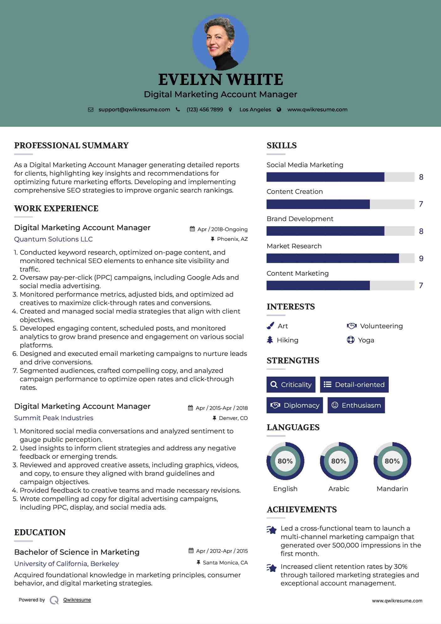 Digital Marketing Account Manager Resume Model