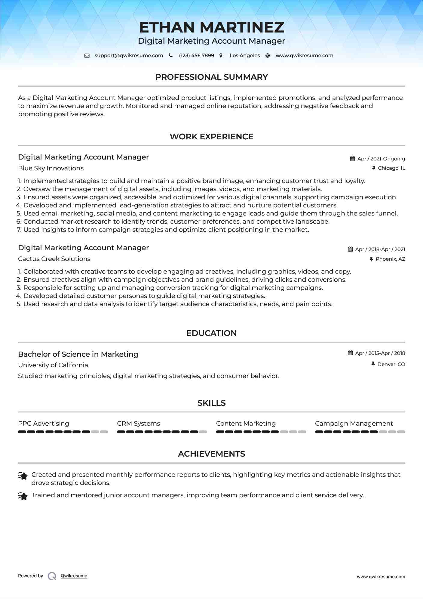 Digital Marketing Account Manager Resume Format