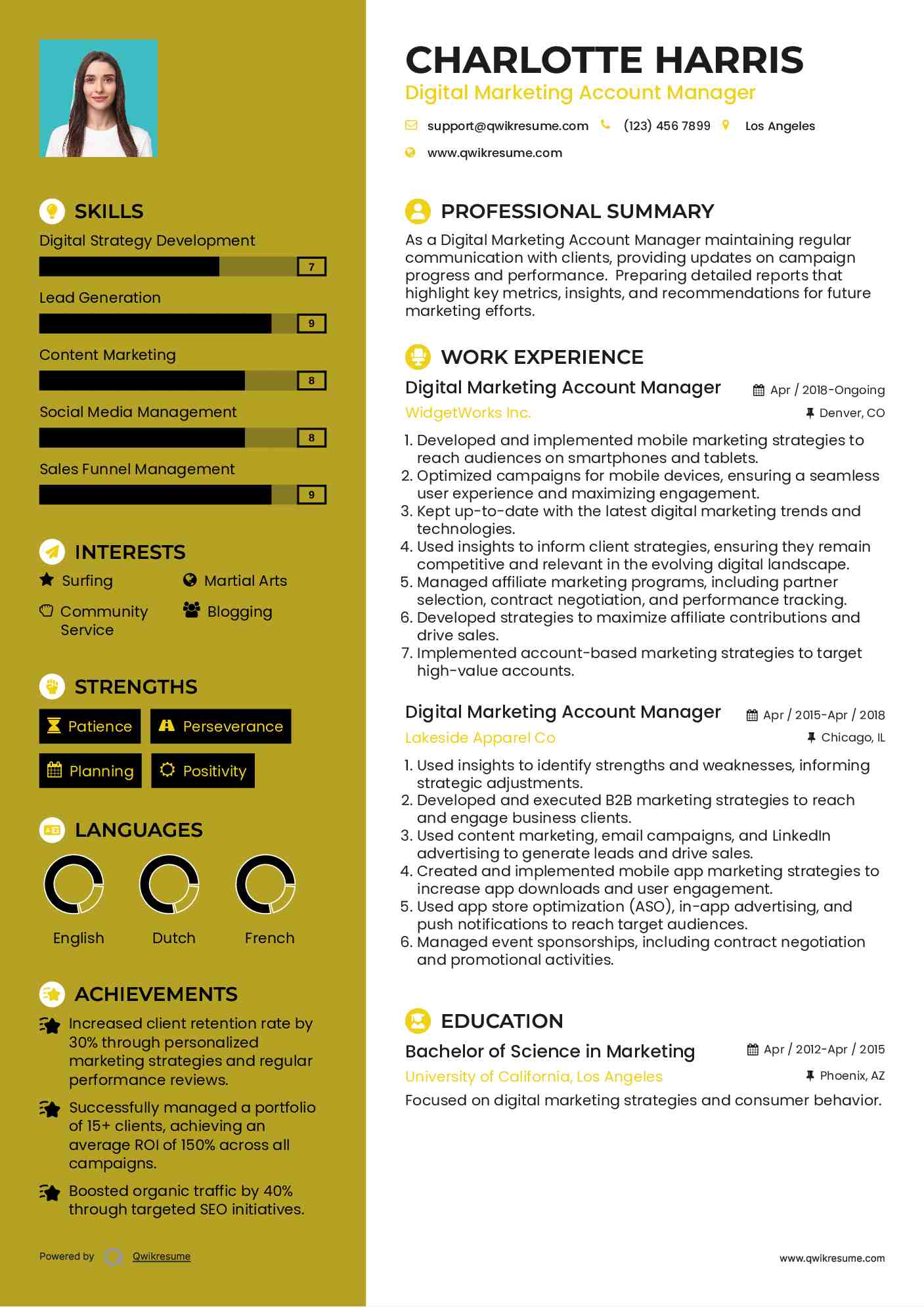 Digital Marketing Account Manager Resume Example