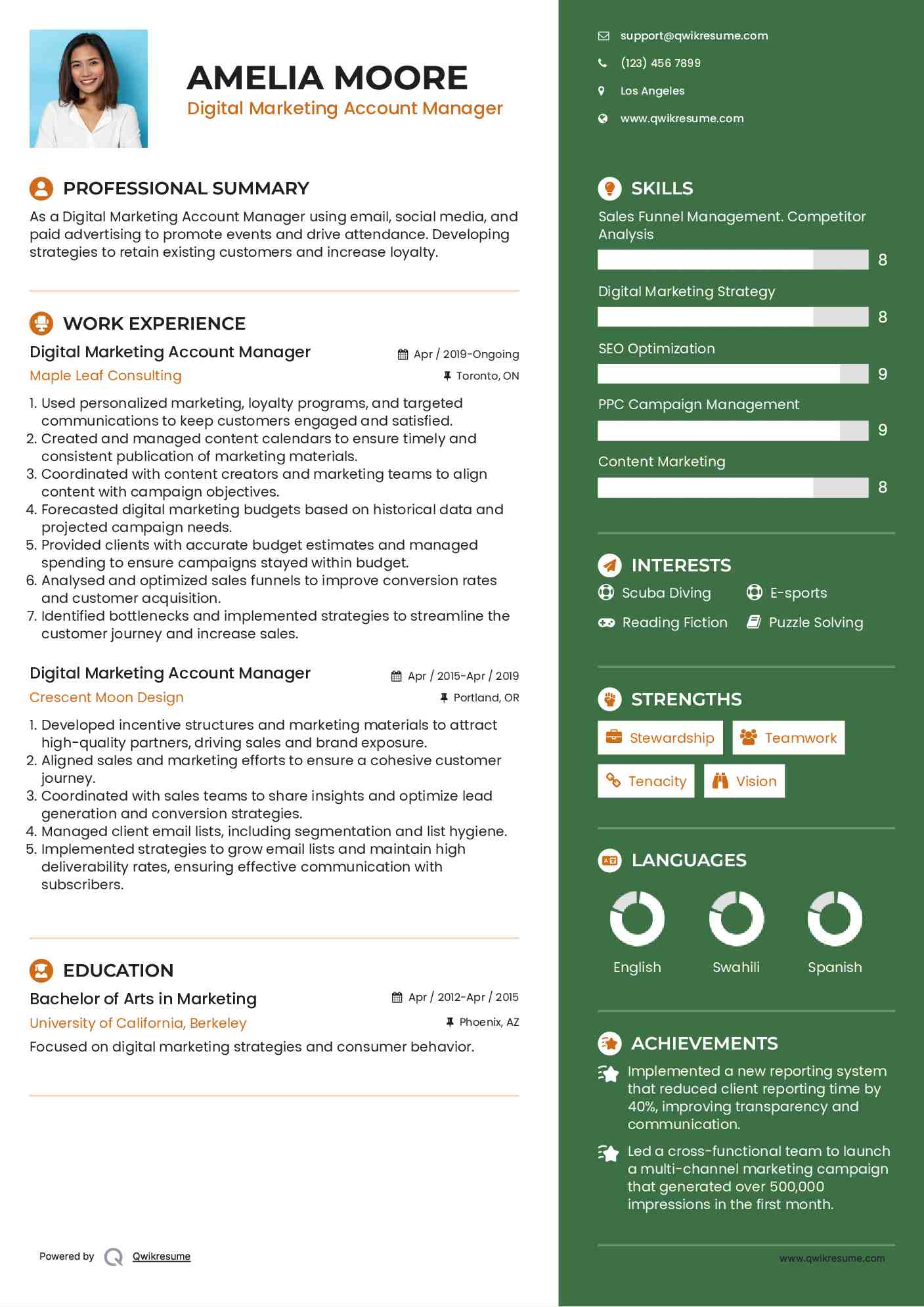 Digital Marketing Account Manager Resume Sample