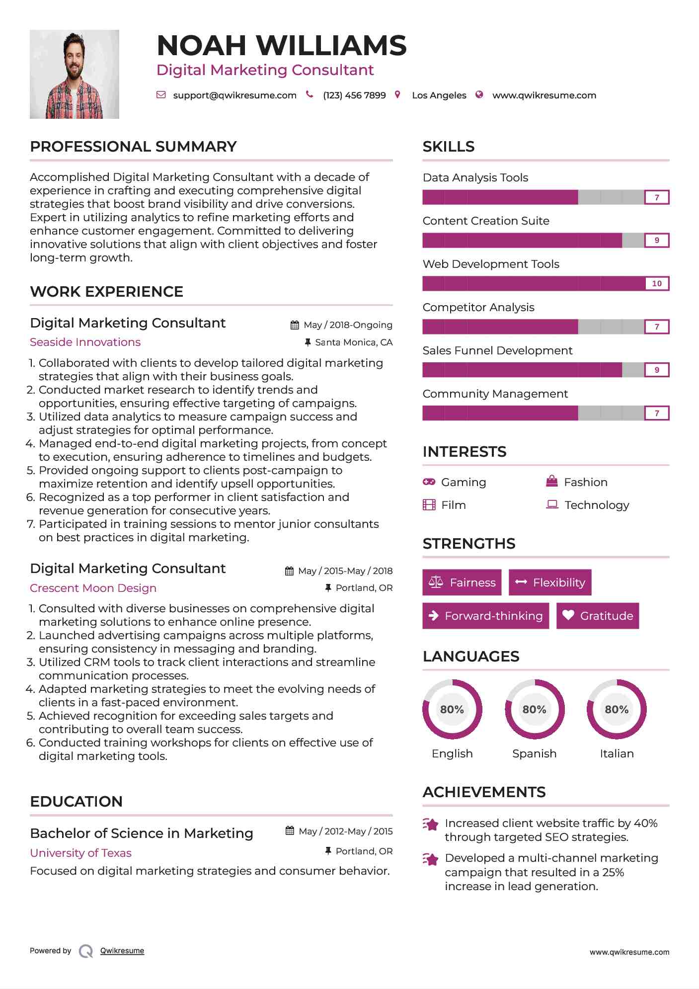 Digital Marketing Consultant Resume Sample