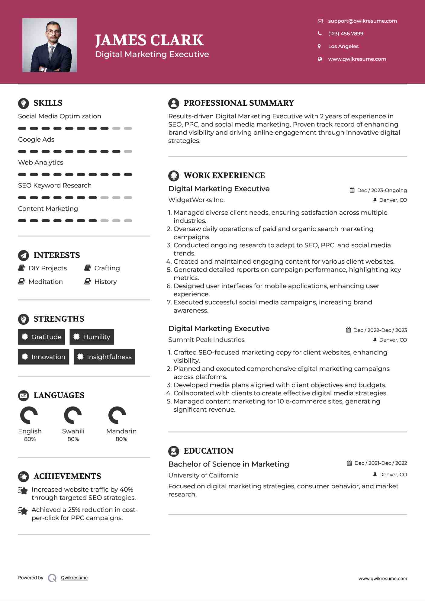 Digital Marketing Executive Resume Model