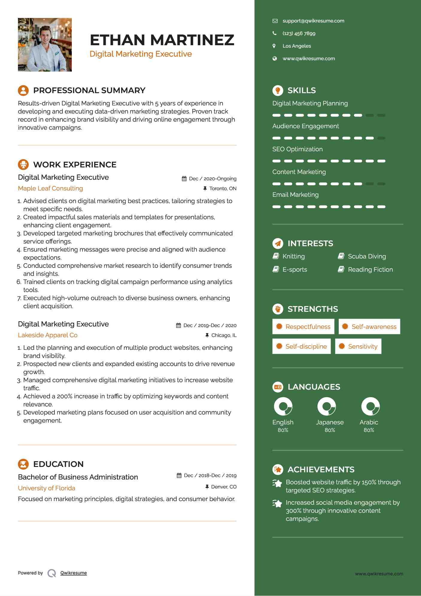Digital Marketing Executive Resume Template