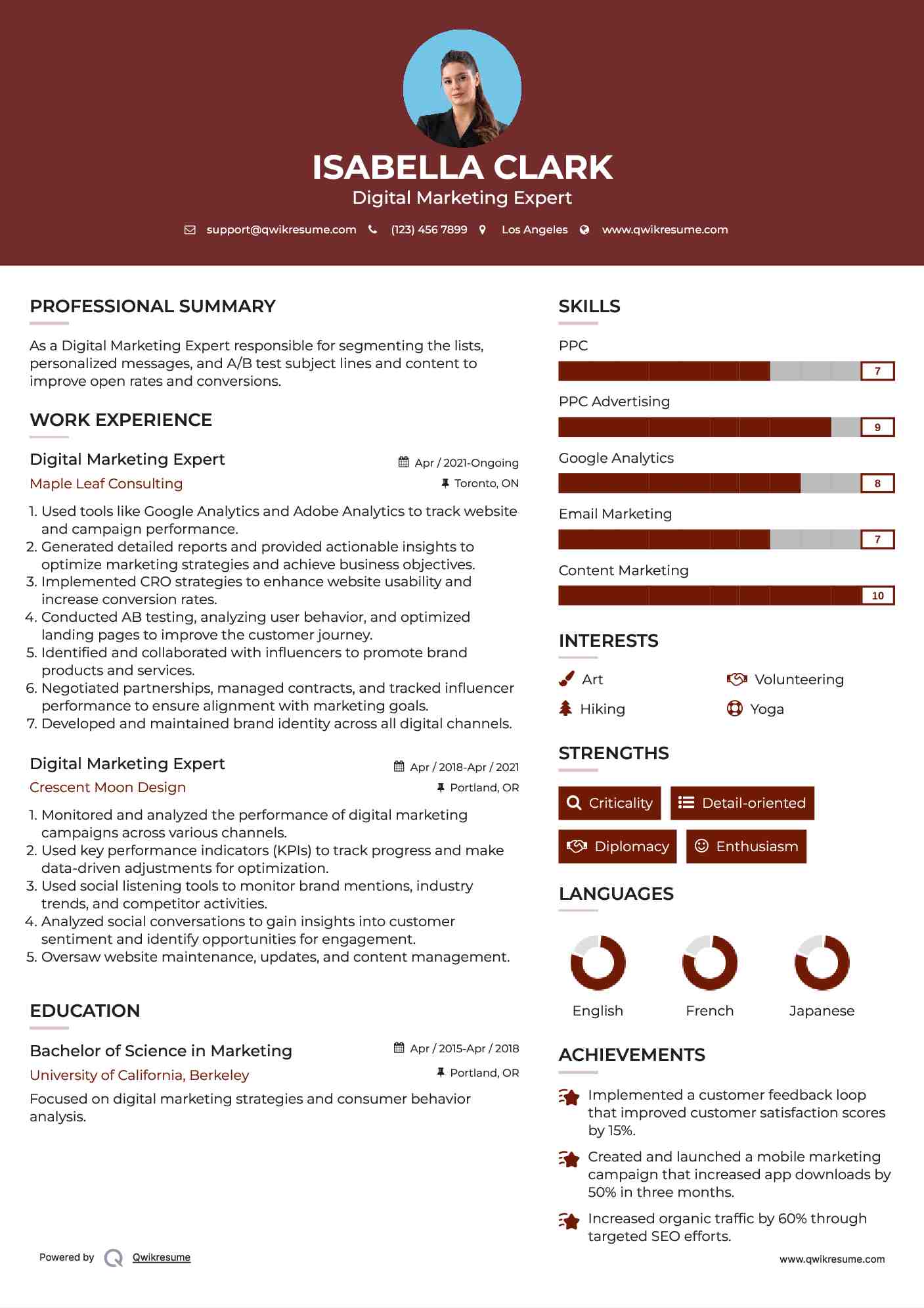 Digital Marketing Expert Resume Example