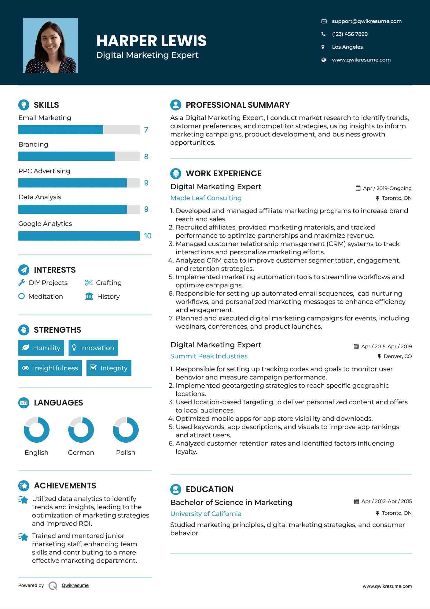 Digital Marketing Expert Resume Format