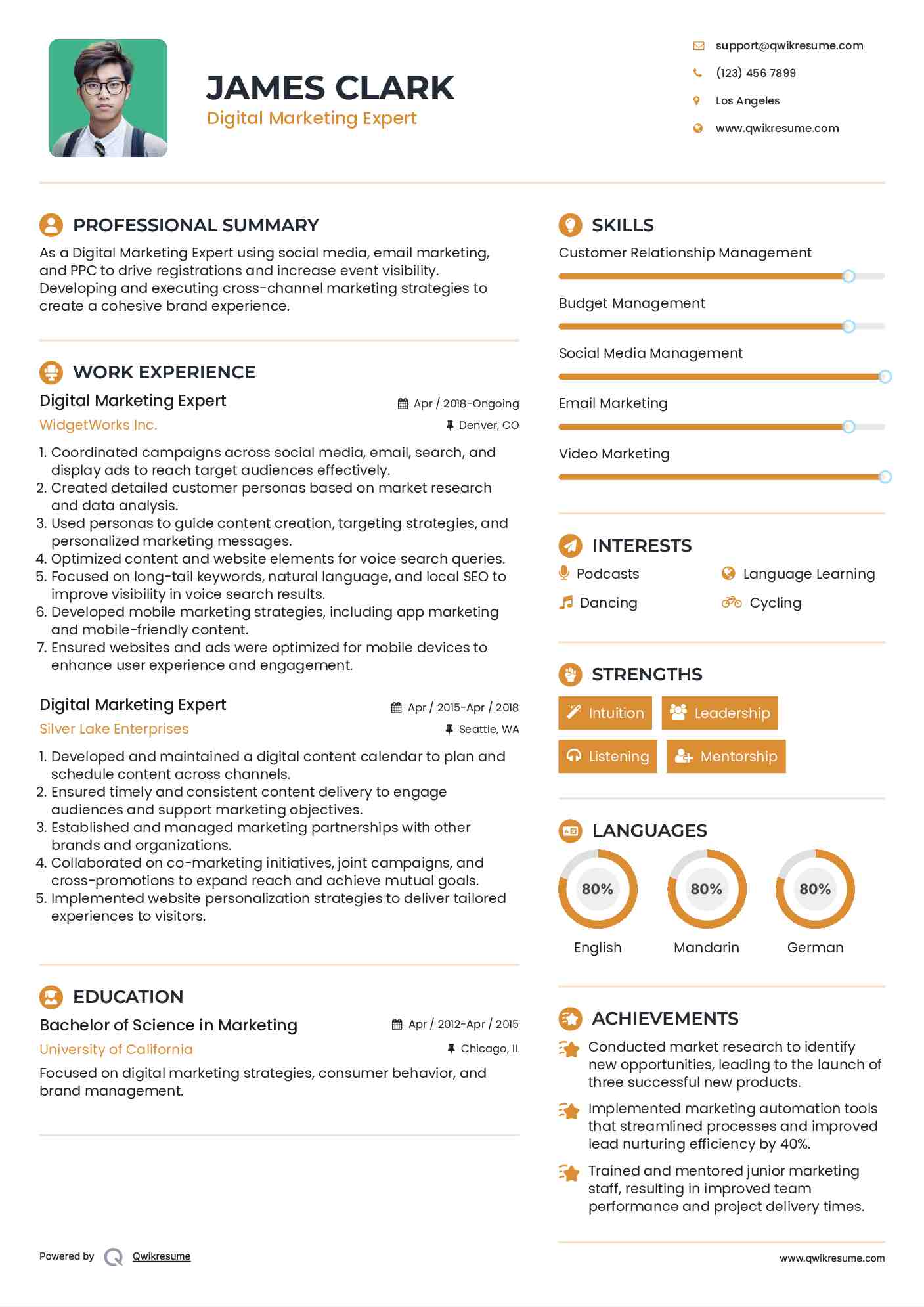 Digital Marketing Expert Resume Example