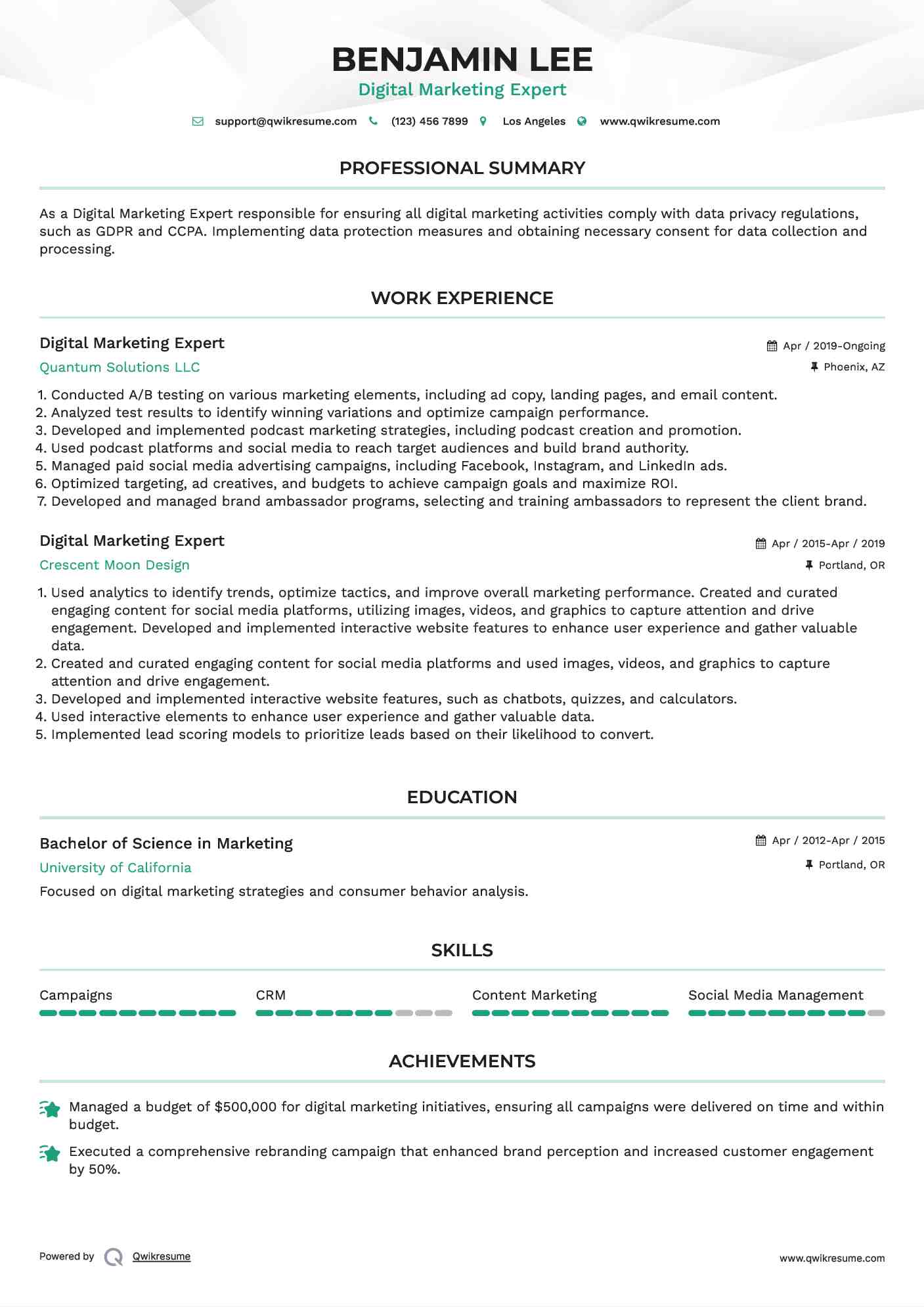 Digital Marketing Expert Resume Example
