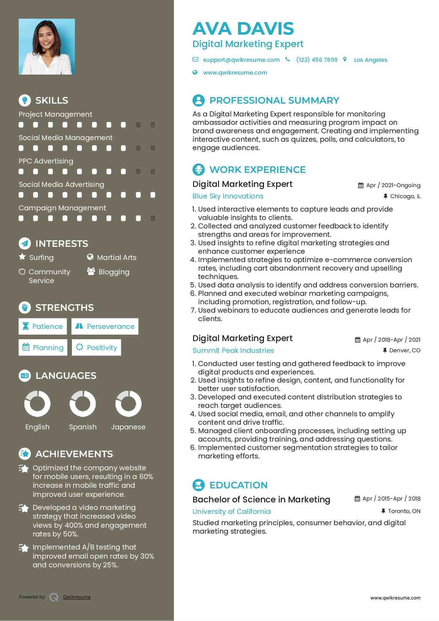 Digital Marketing Expert Resume Sample