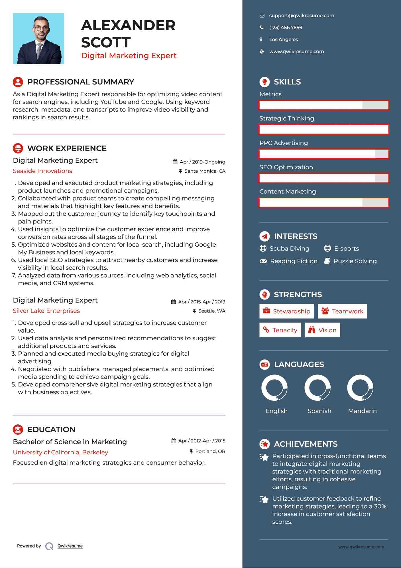 Digital Marketing Expert Resume Example