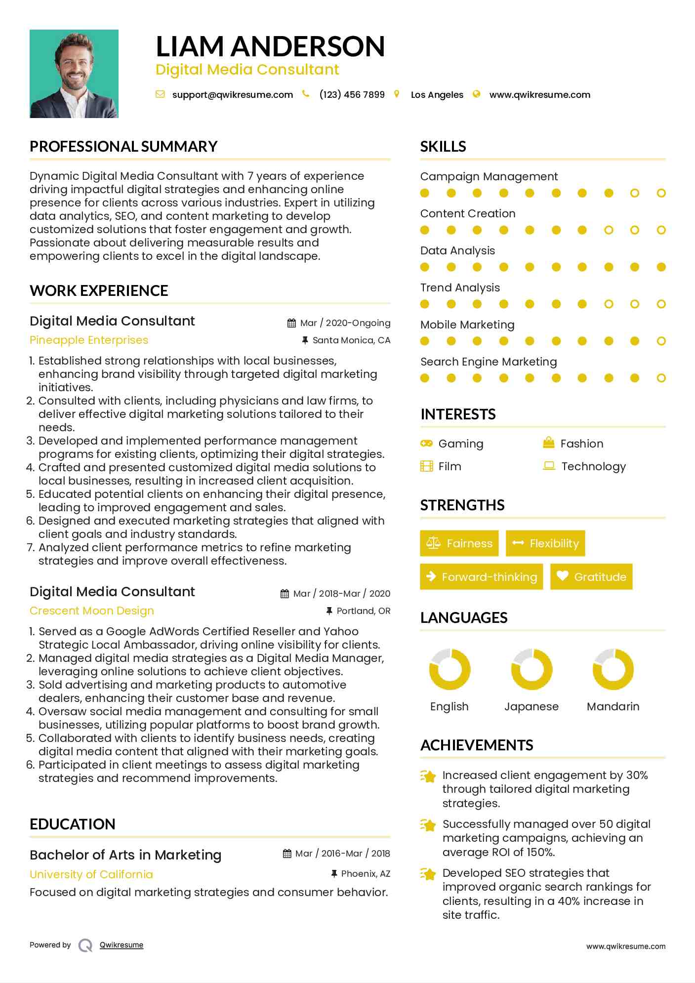 Digital Media Consultant Resume Example