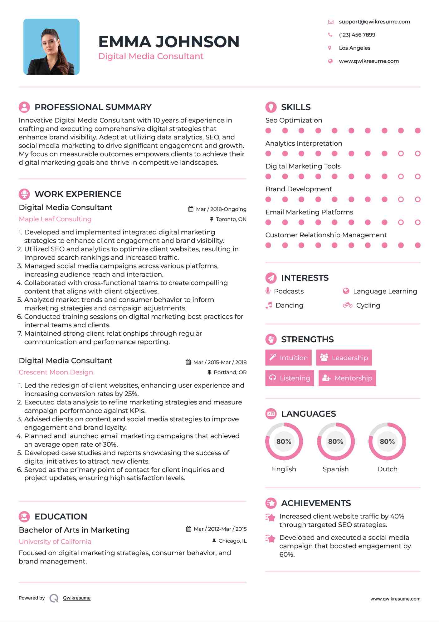 Digital Media Consultant Resume Example