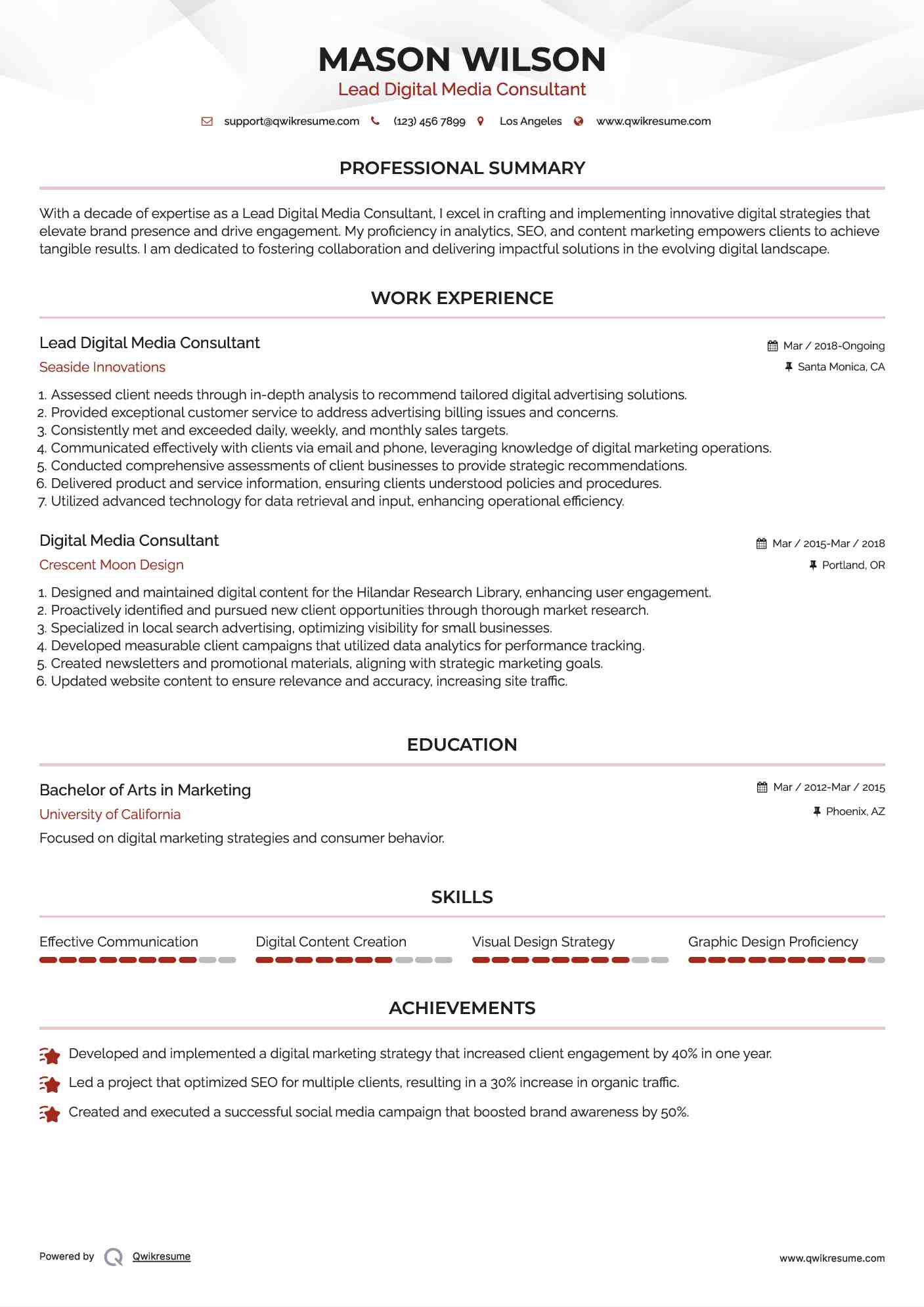 Lead Digital Media Consultant Resume Template