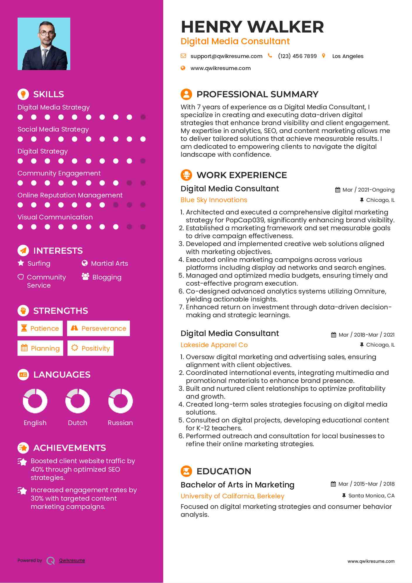 Digital Media Consultant Resume Sample