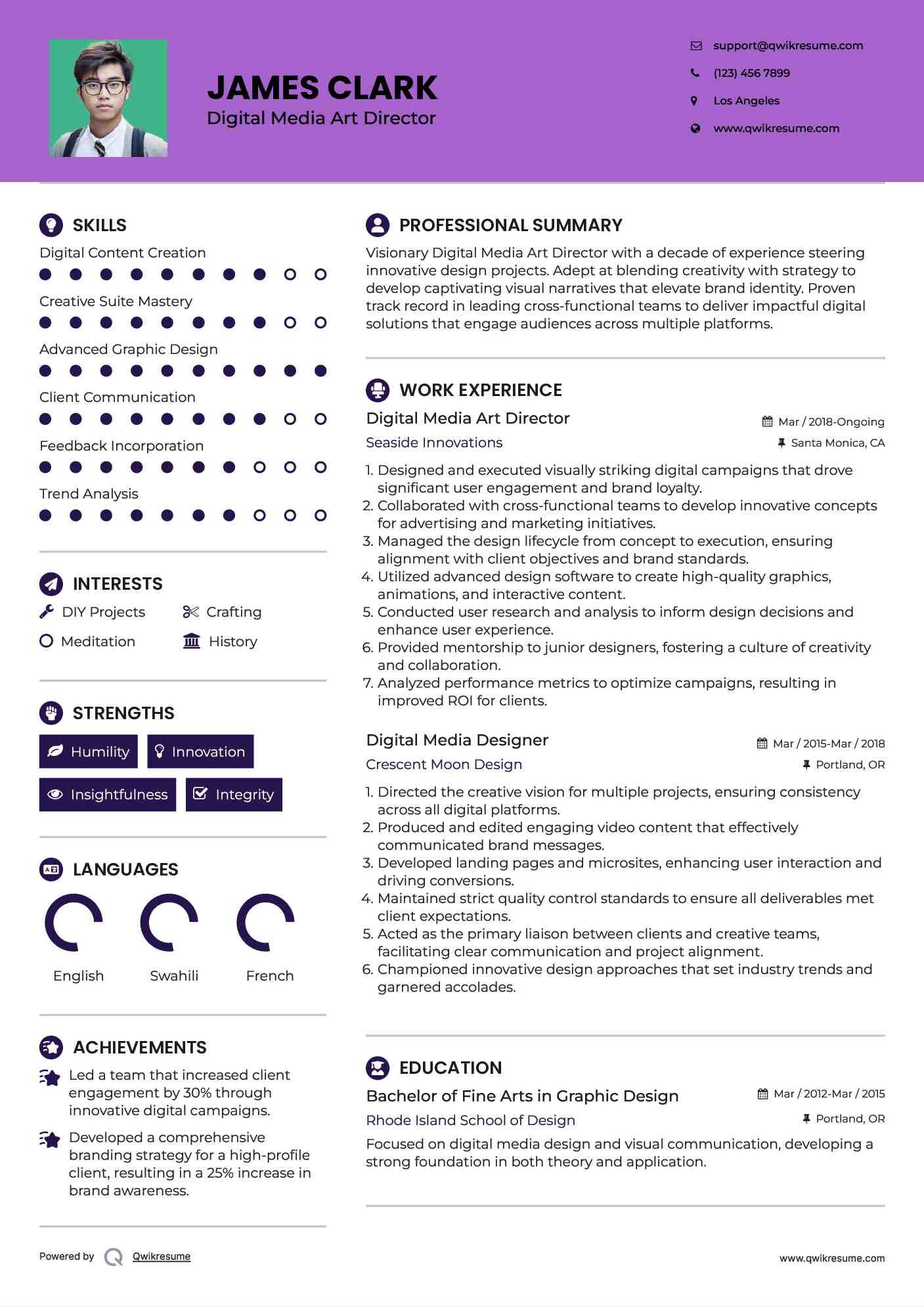 Digital Media Art Director Resume Template