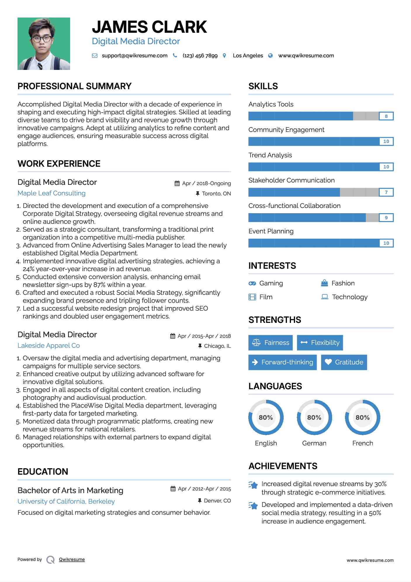 Digital Media Director Resume Format