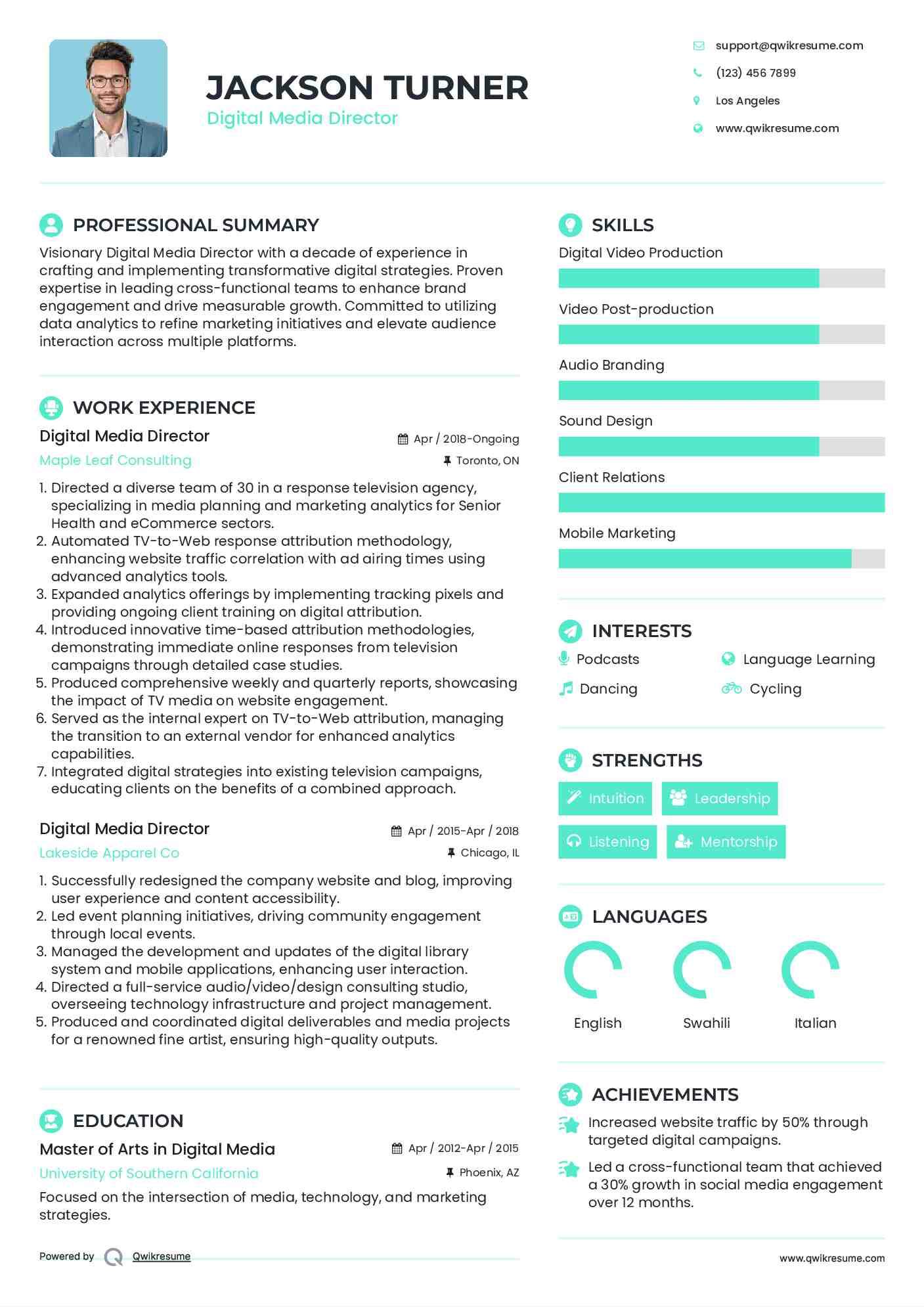 Digital Media Director Resume Example