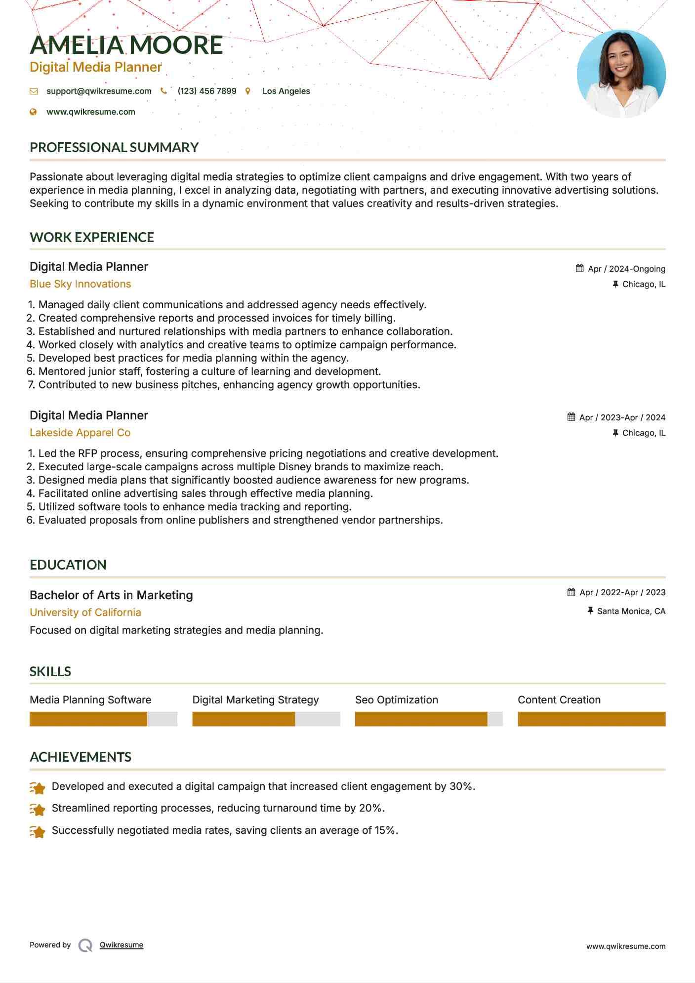 Digital Media Planner Resume Sample