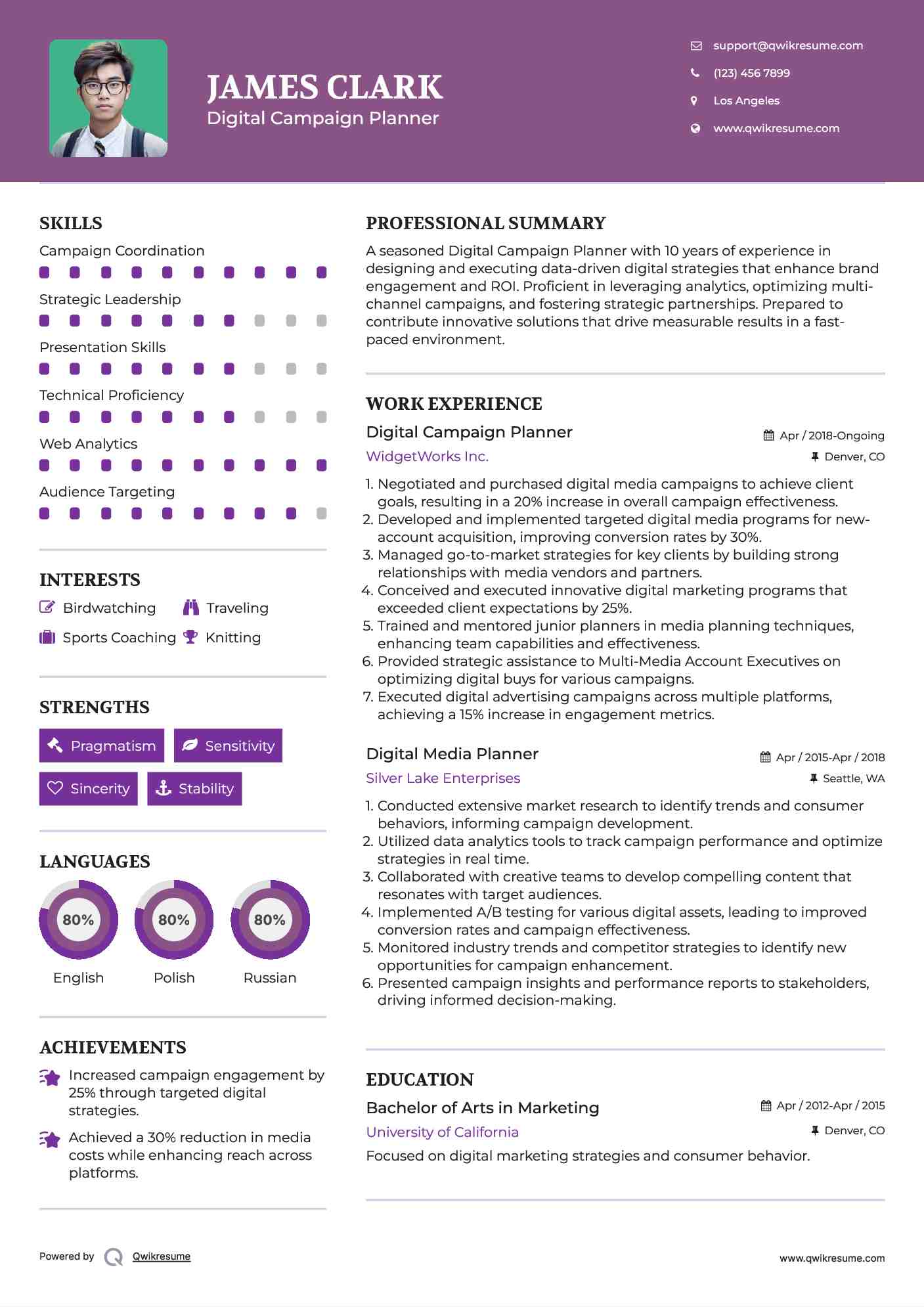 Digital Campaign Planner Resume Model