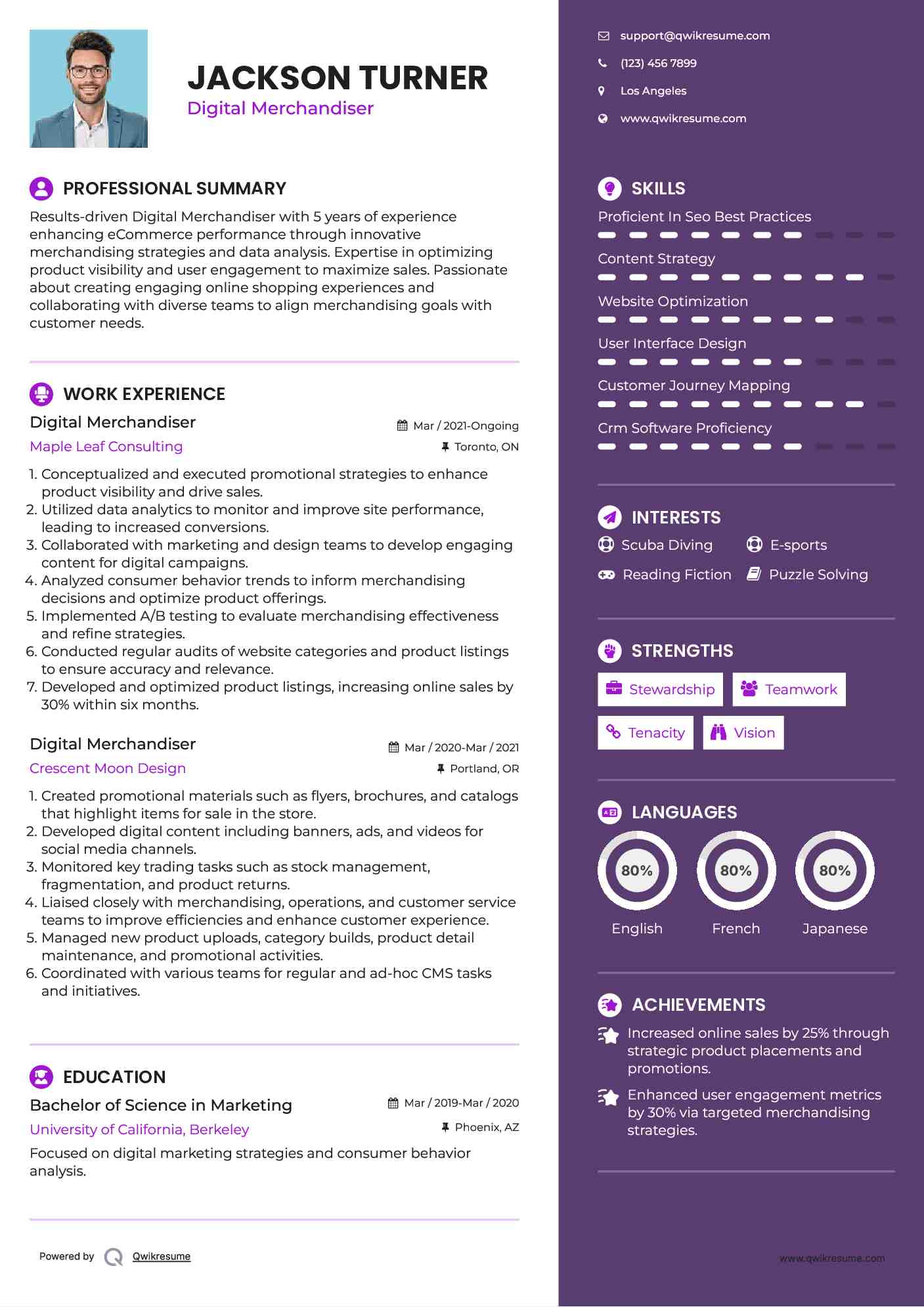 Digital Merchandiser Resume Sample