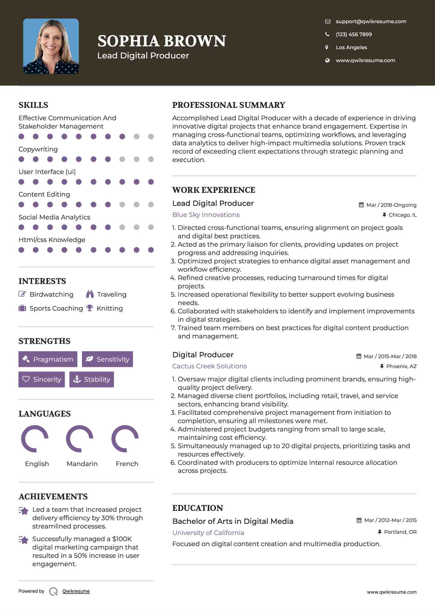 Lead Digital Producer Resume Example