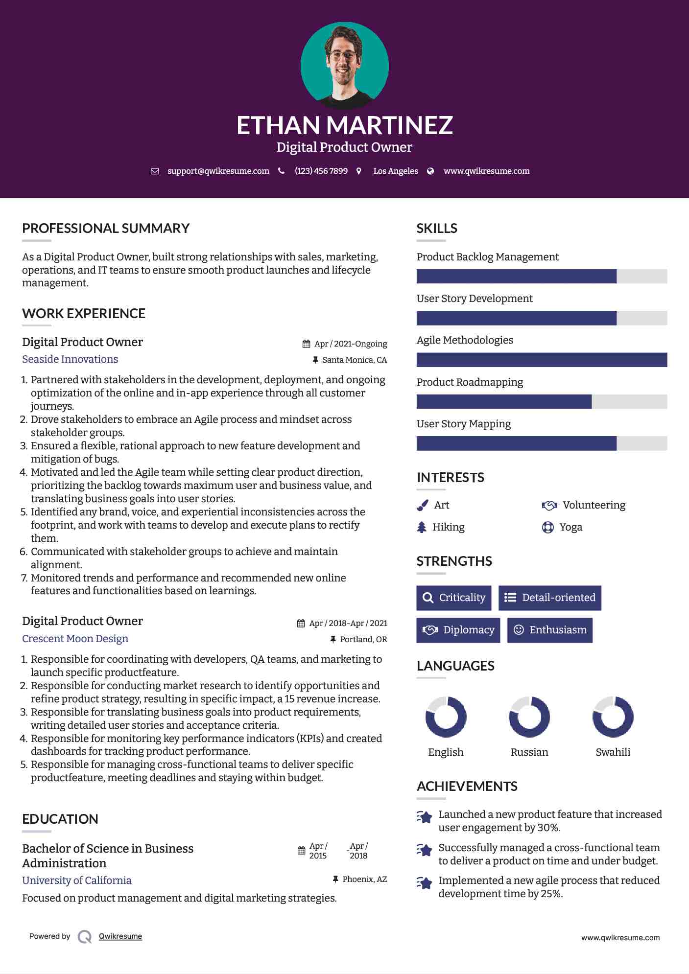 Digital Product Owner Resume Template
