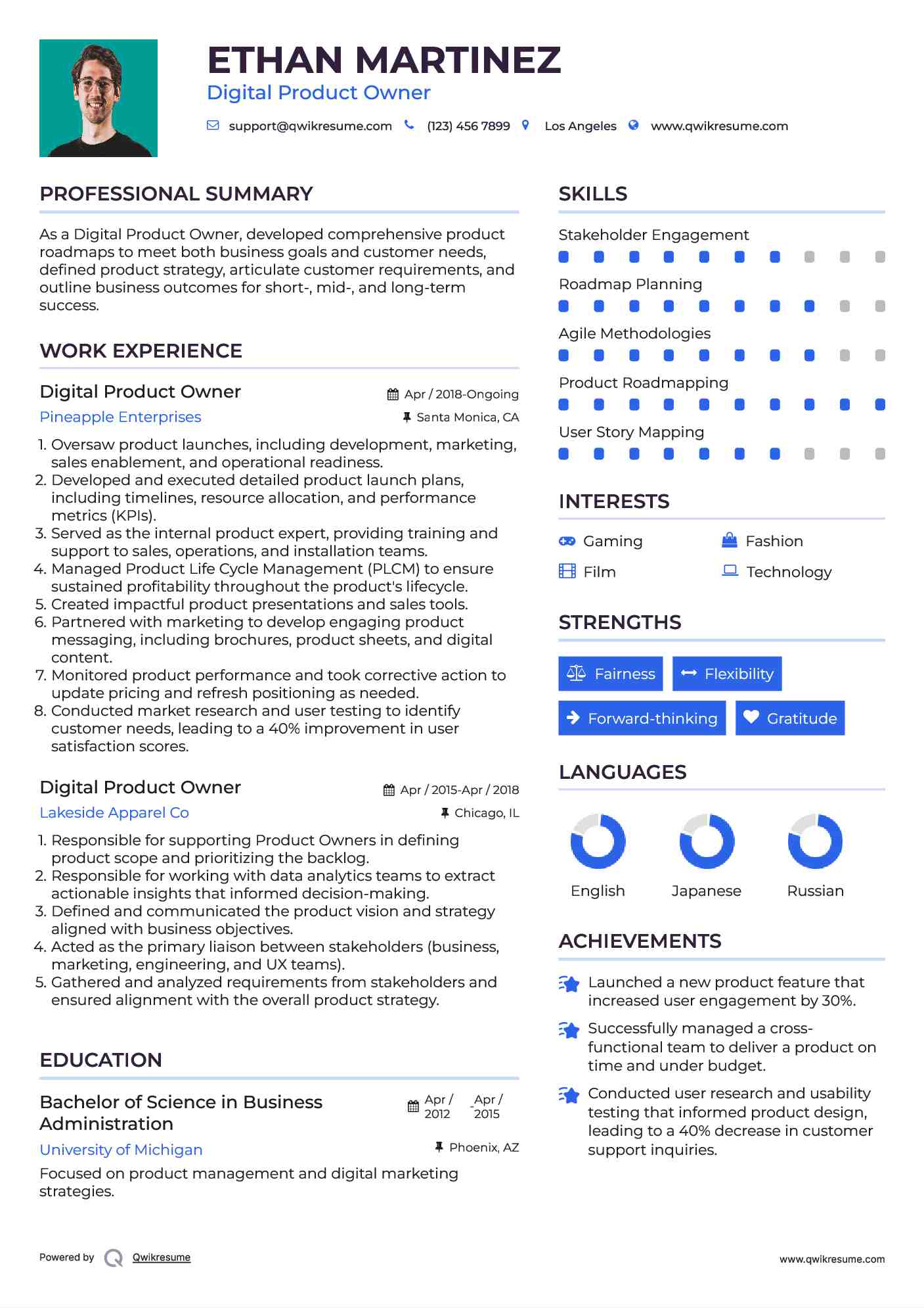 Digital Product Owner Resume Format