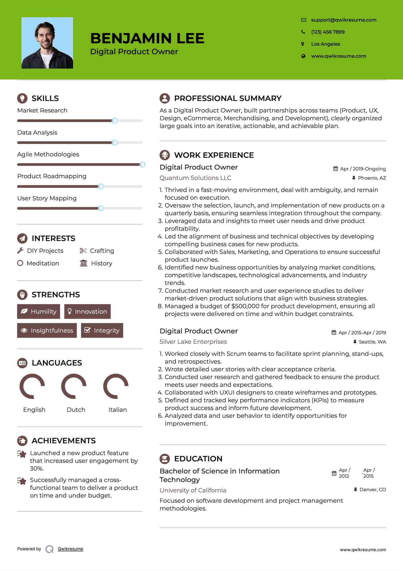 Digital Product Owner Resume Example