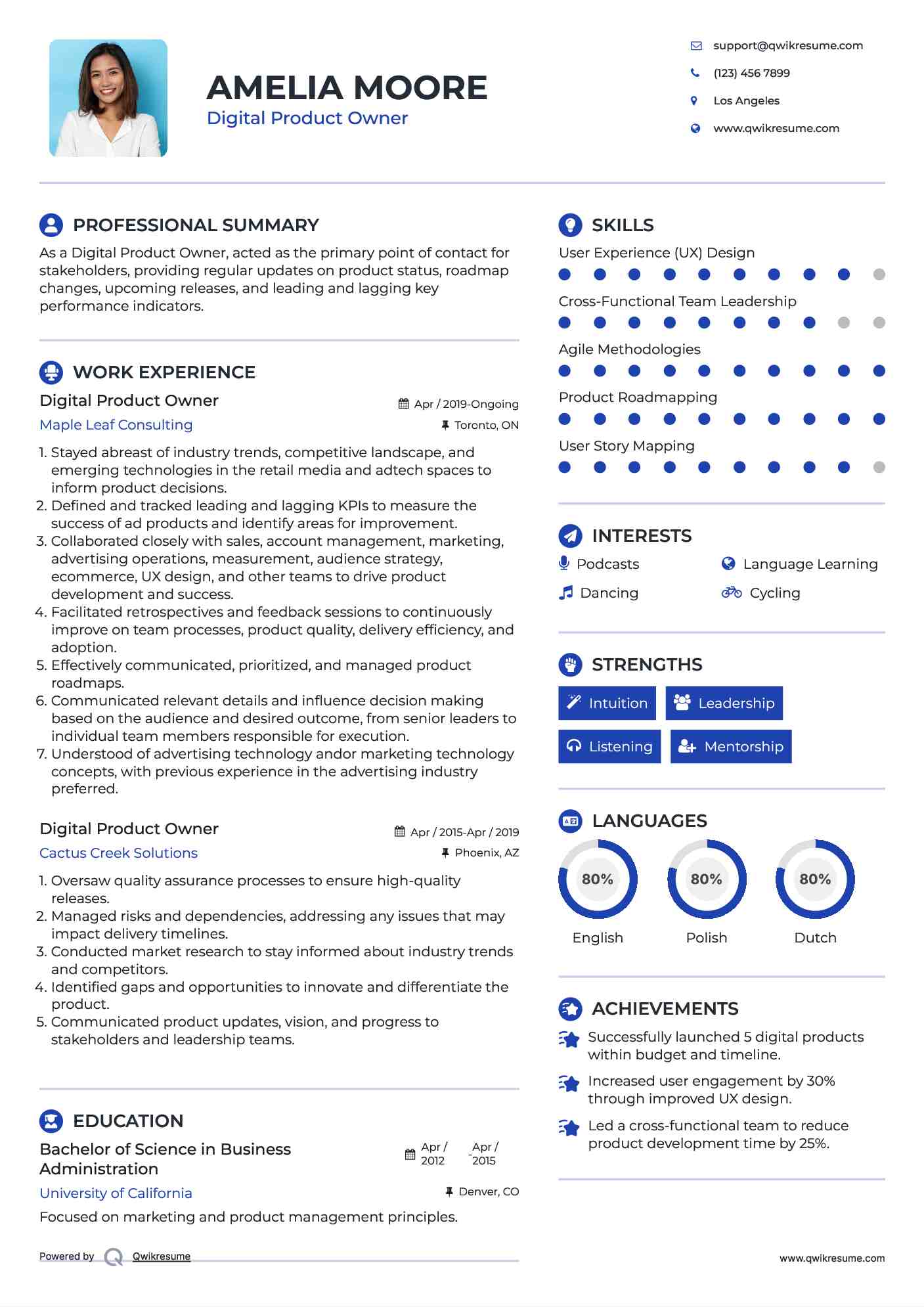 Digital Product Owner Resume Model