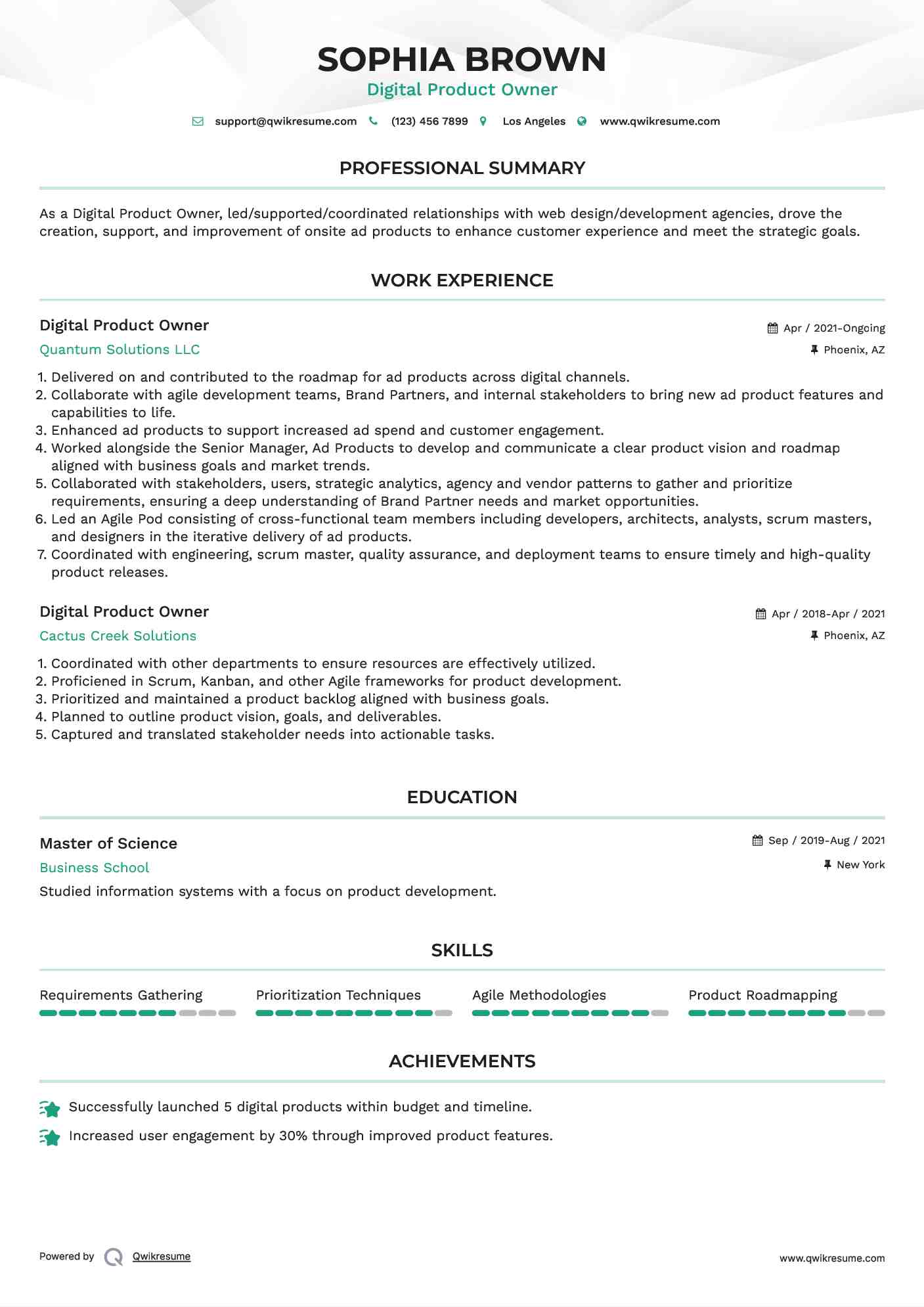 Digital Product Owner Resume Format