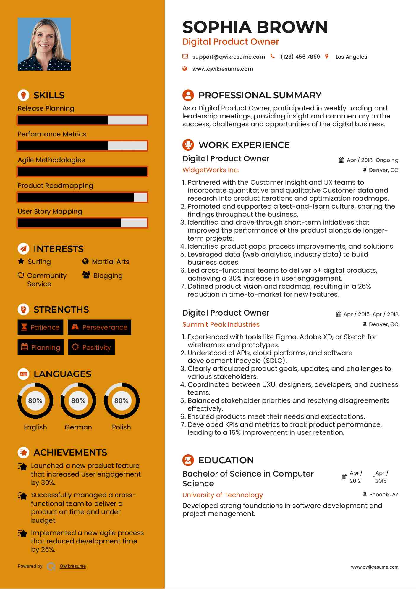 Digital Product Owner Resume Template