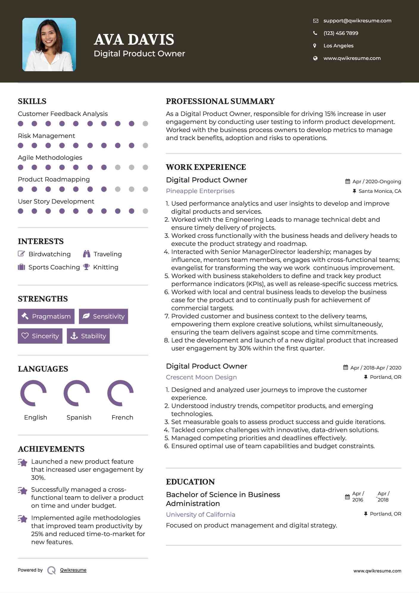 Digital Product Owner Resume Sample