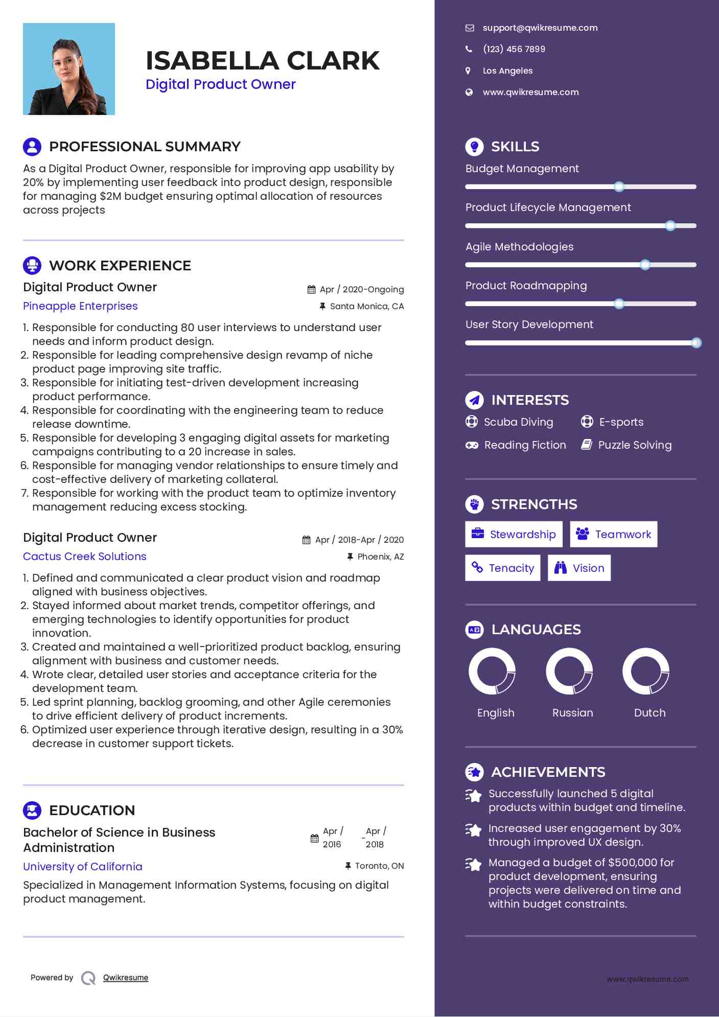 Digital Product Owner Resume Format