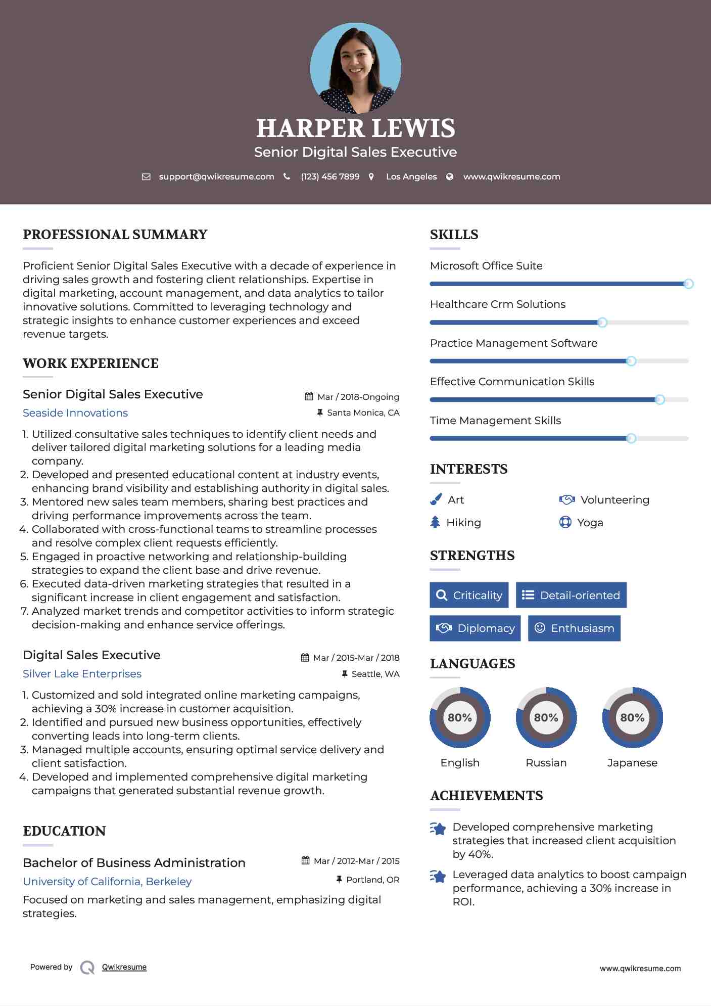 Senior Digital Sales Executive Resume Example