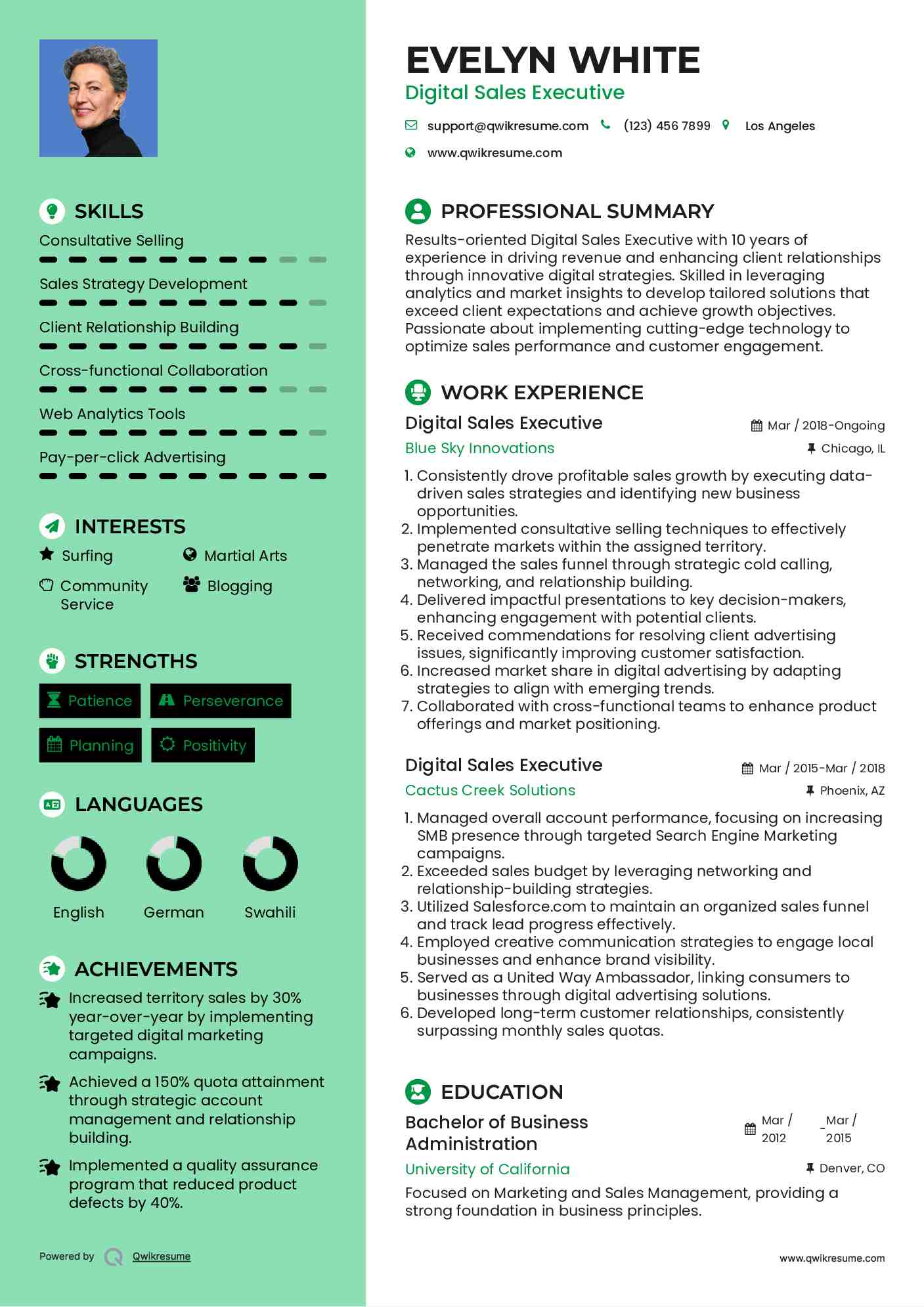Digital Sales Executive Resume Format