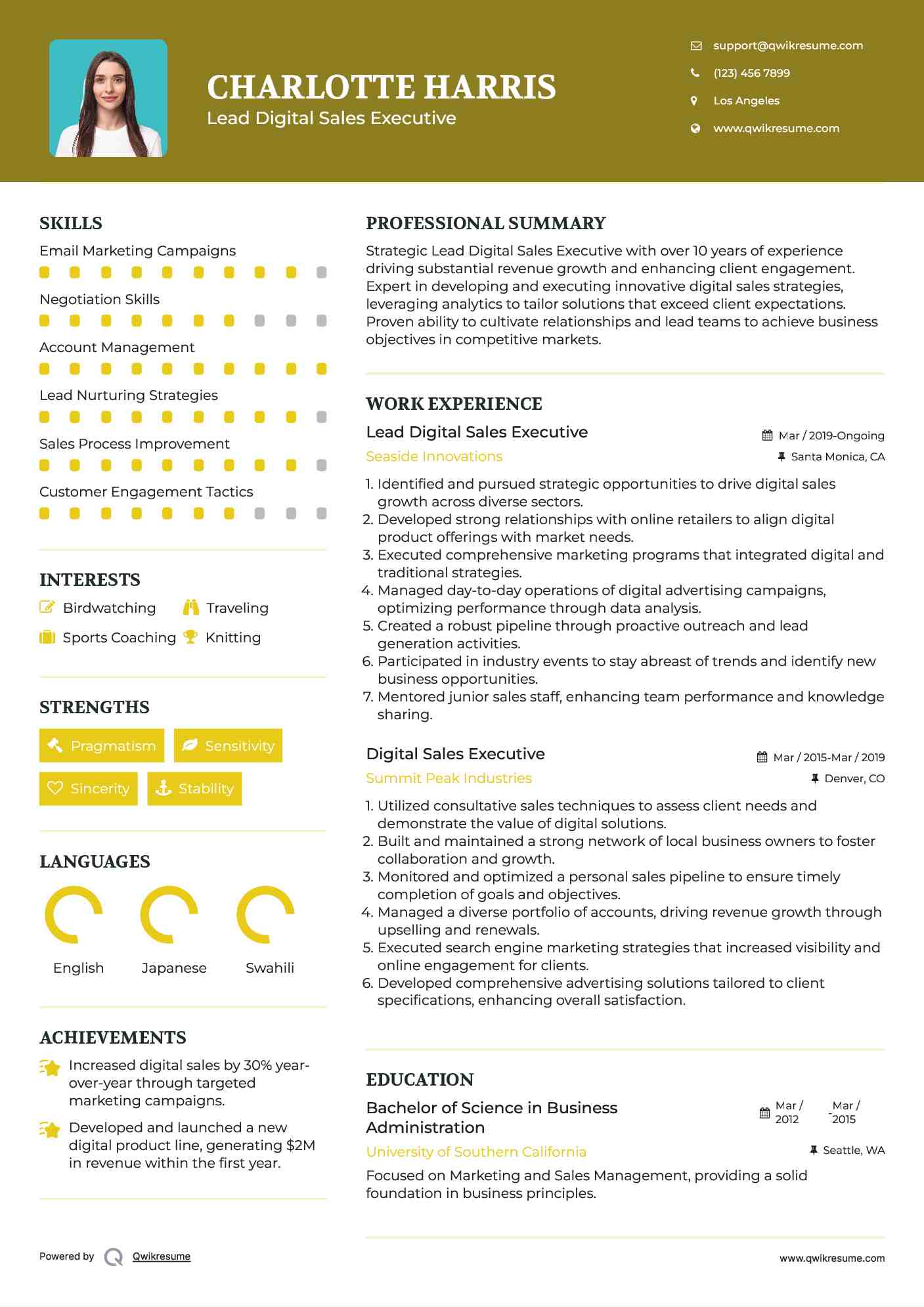 Lead Digital Sales Executive Resume Format